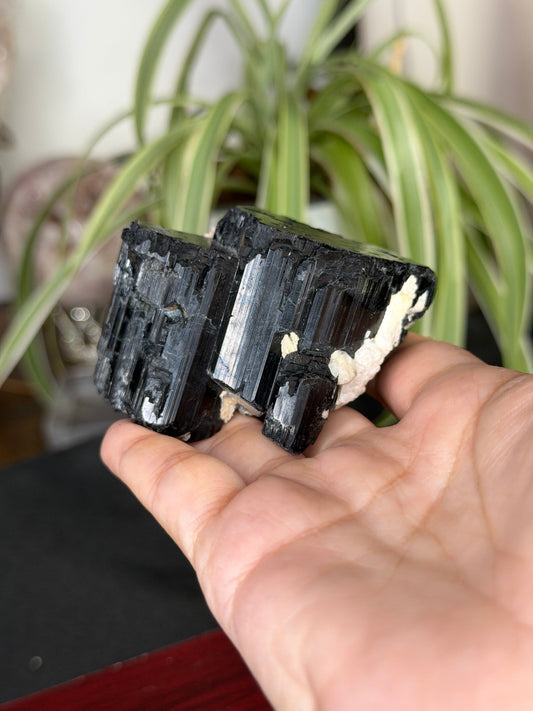 Record Keeper Tourmaline| 165g - The Crystal ValleyQuartz