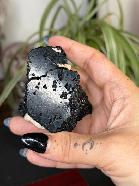 Record Keeper Tourmaline| 165g - The Crystal ValleyQuartz