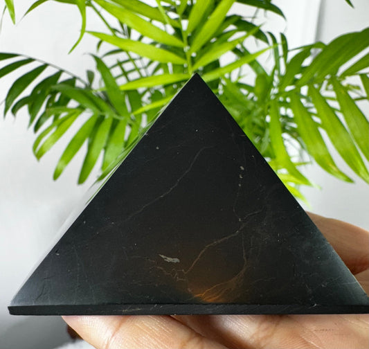 Shungite Pyramid | 190g - The Crystal Valley