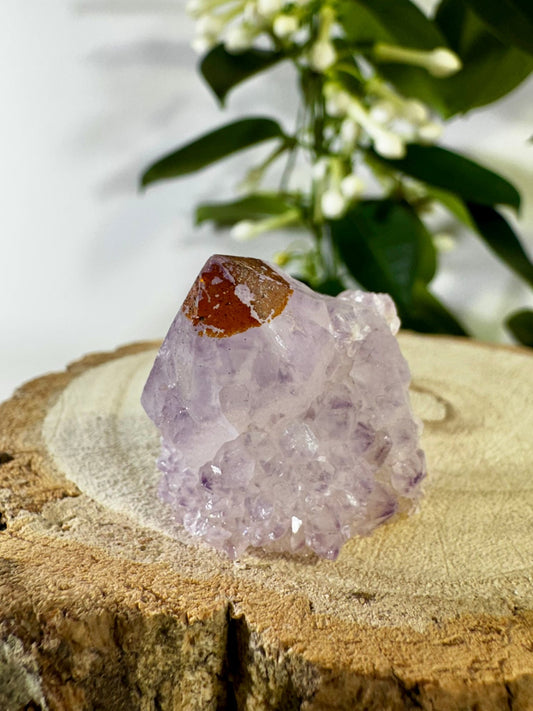 Small Spirit Quartz | 28g - The Crystal Valley