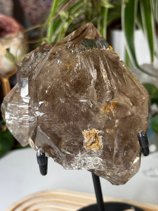 Statment Piece ~ Elestial Smokey Quartz | 575g - The Crystal Valley