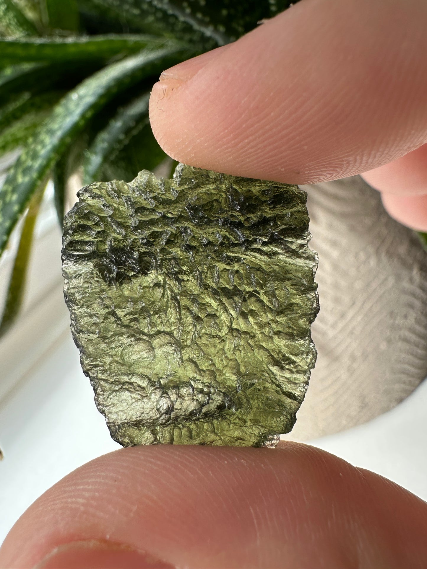 Moldavite Tektite - Museum Grade |  3.2 g