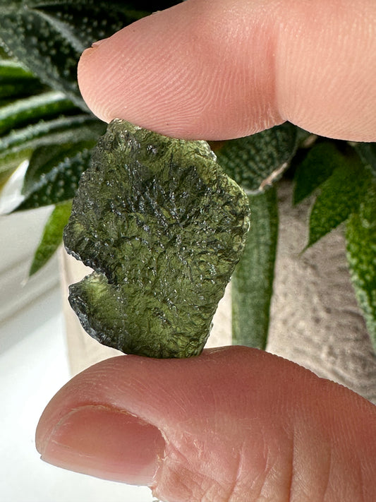Moldavite Tektite - Museum Grade |  5.1g