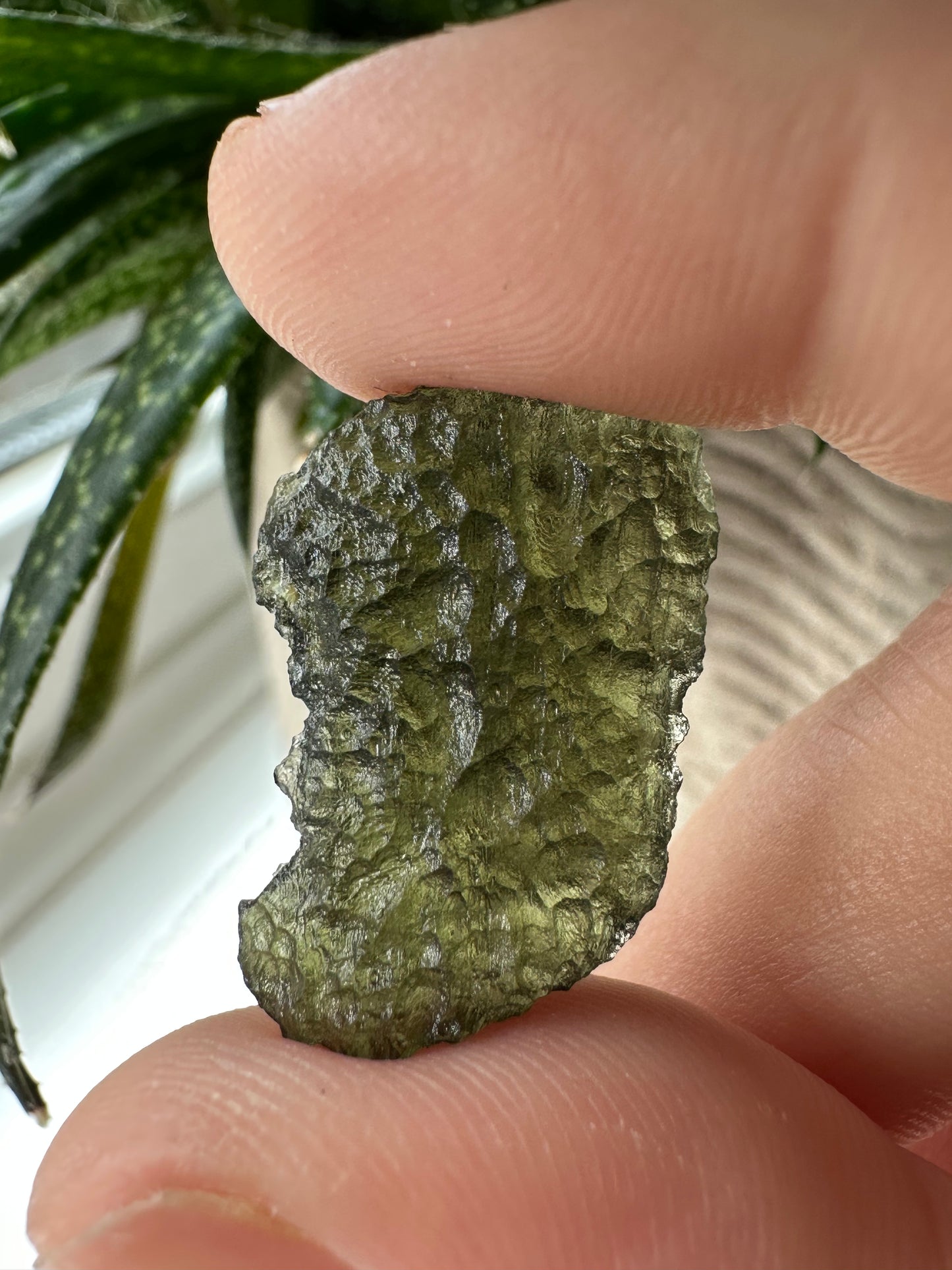 Moldavite Tektite - Museum Grade |  3.2 g