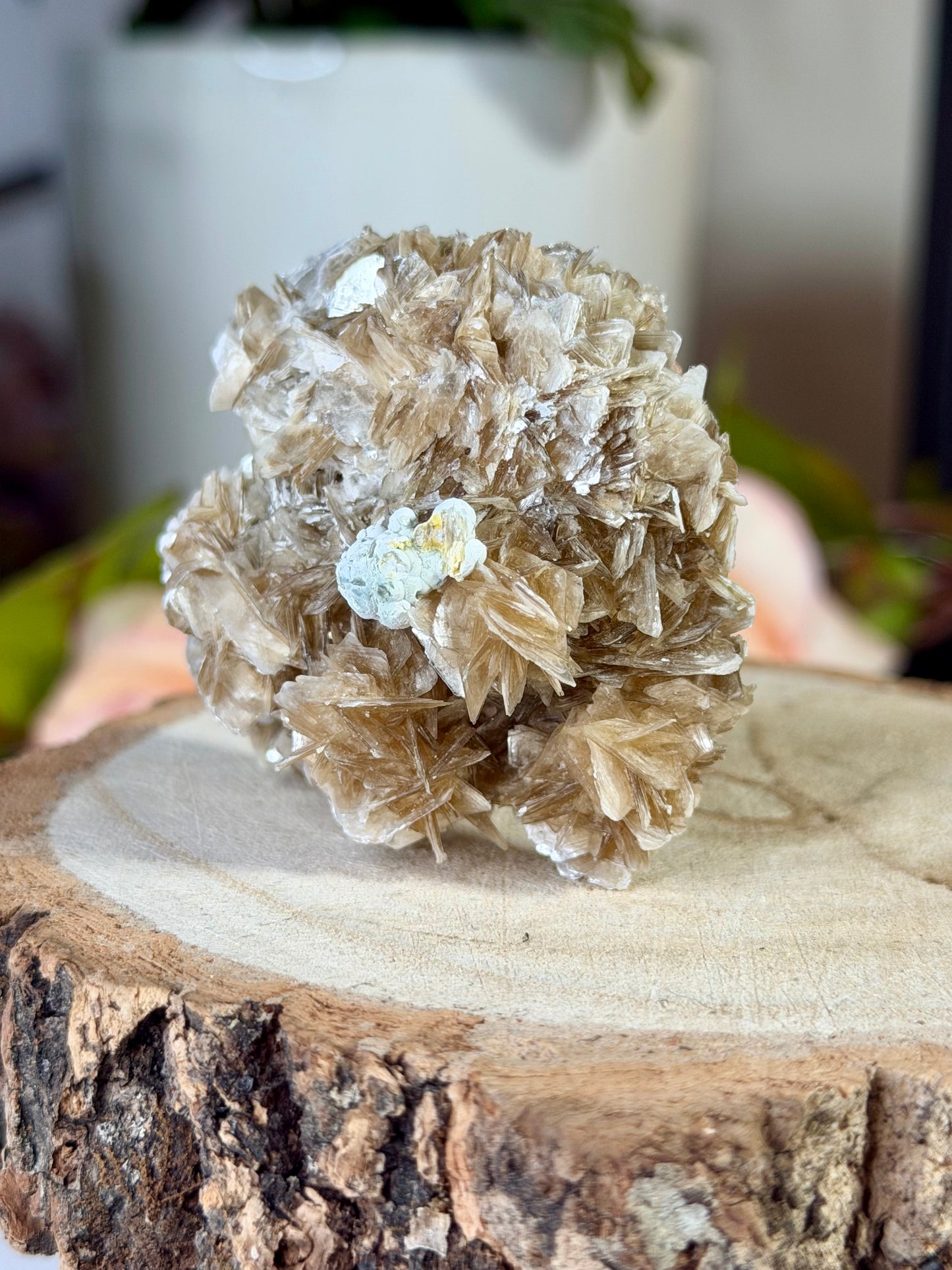 Star Mica with Zanazite from Brazil  | 76g