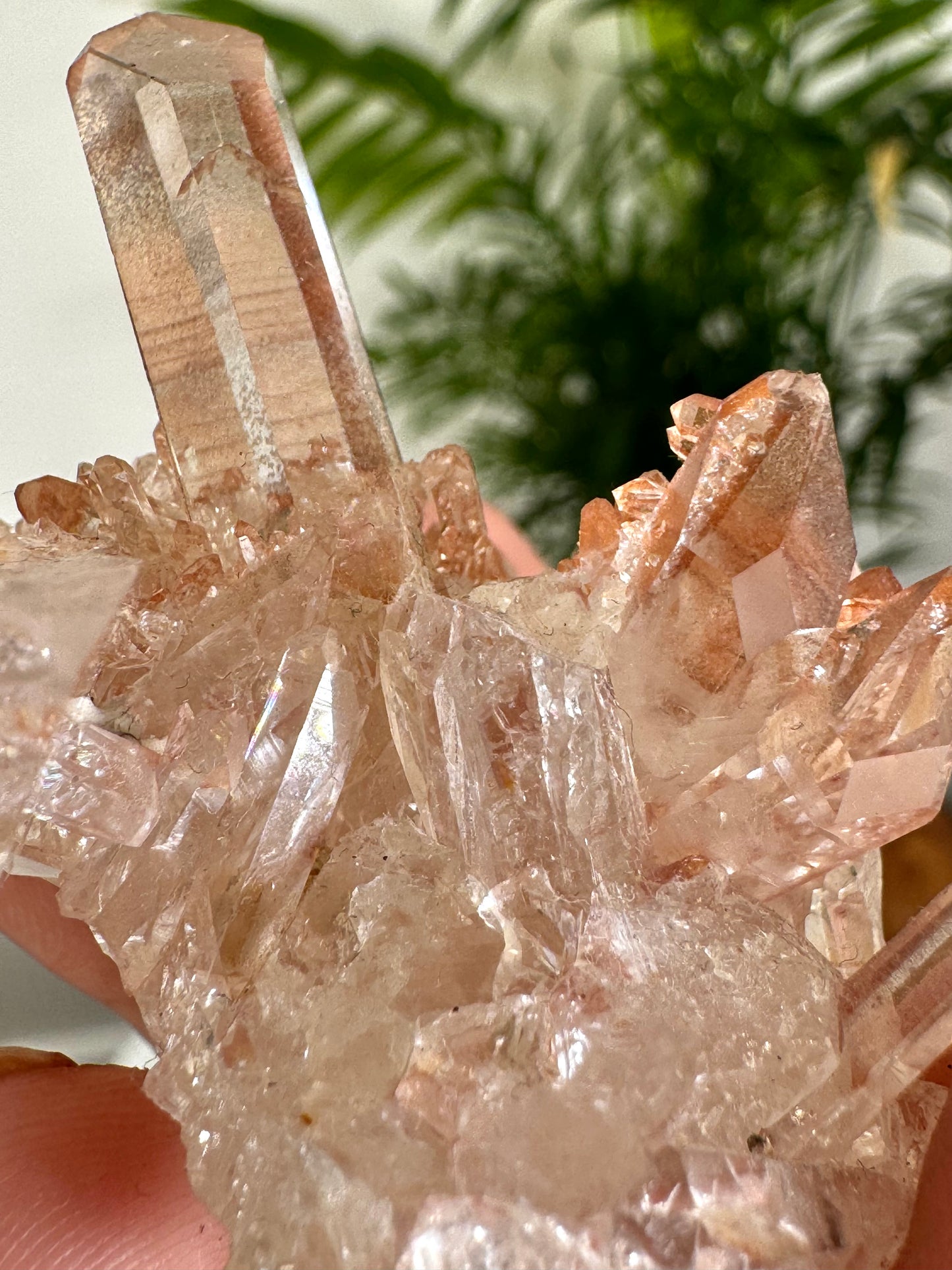 Tangerine Quartz Cluster | 32g