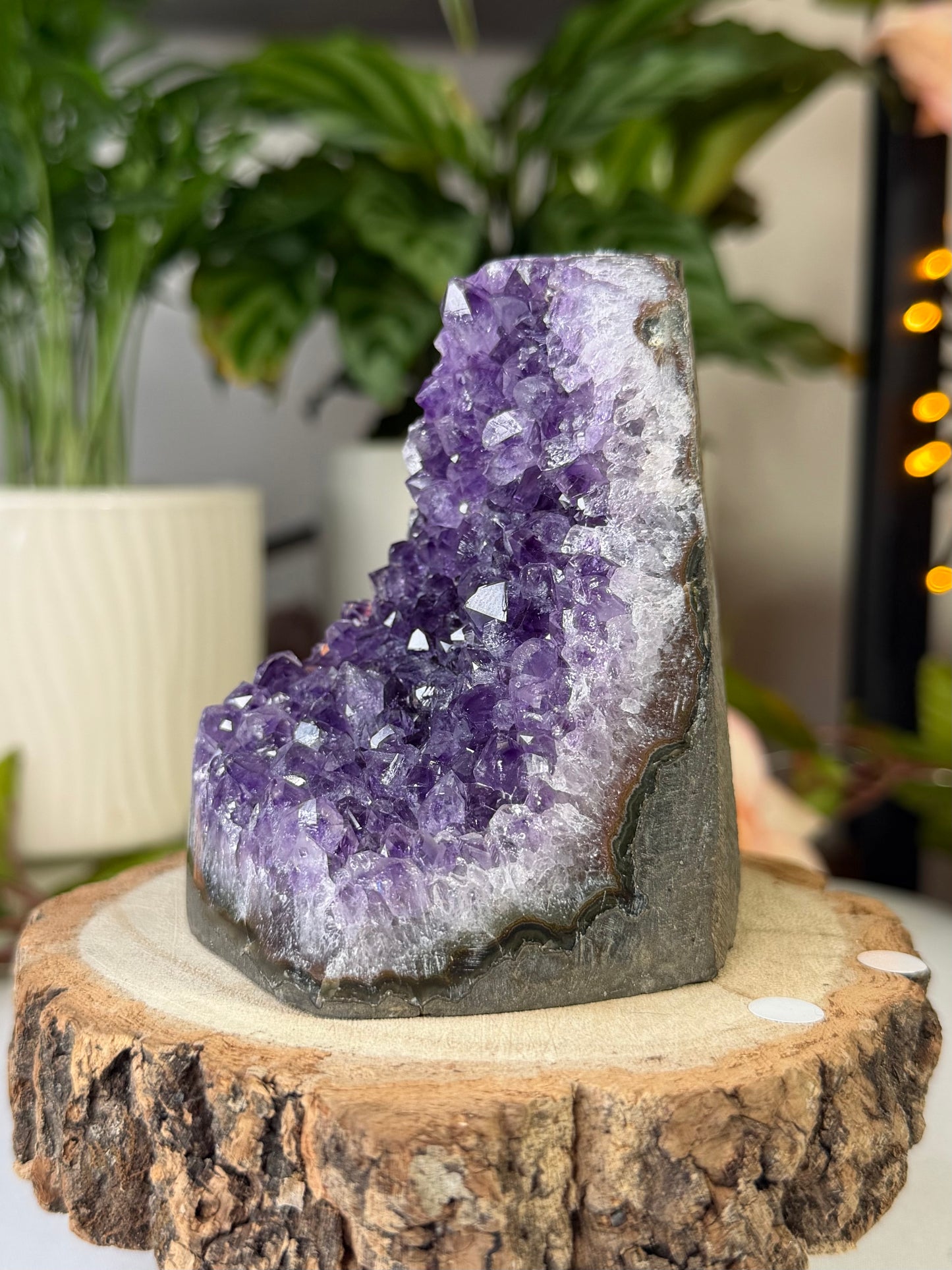 Amethyst Cut Base From Uruguay 3 | 343g
