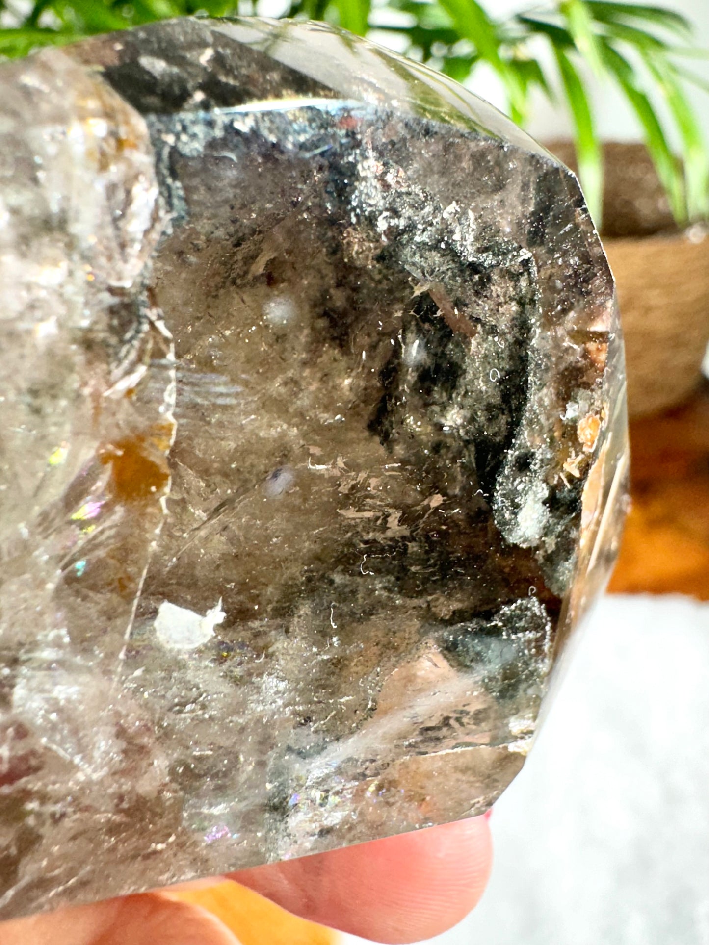 Shaman (Garden) Smokey Quartz Free Form | 196g