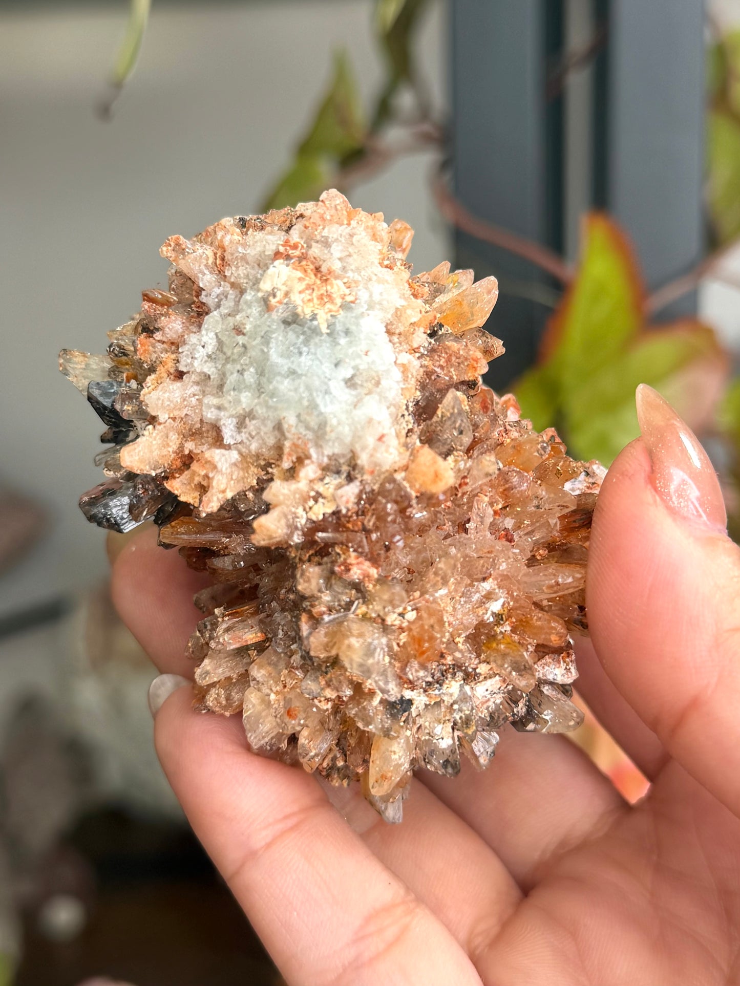 Creedite Cluster | 120g