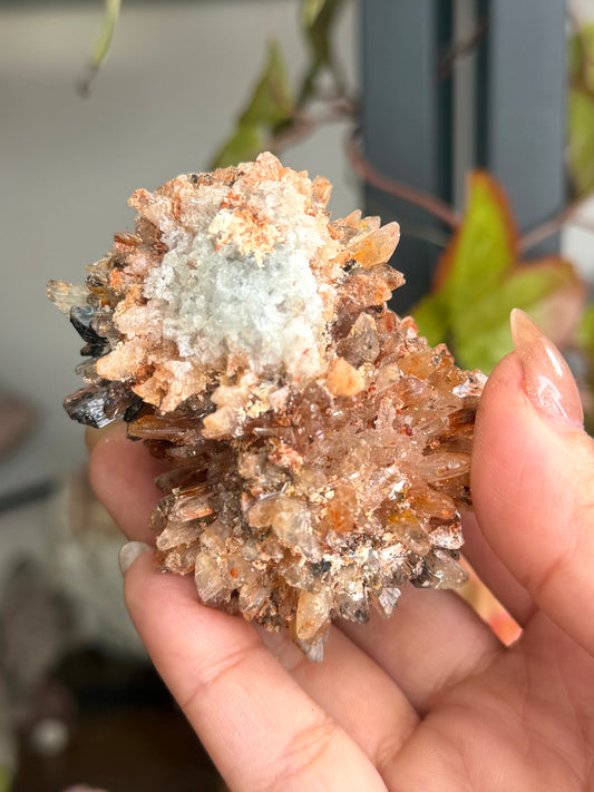 Creedite Cluster | 120g