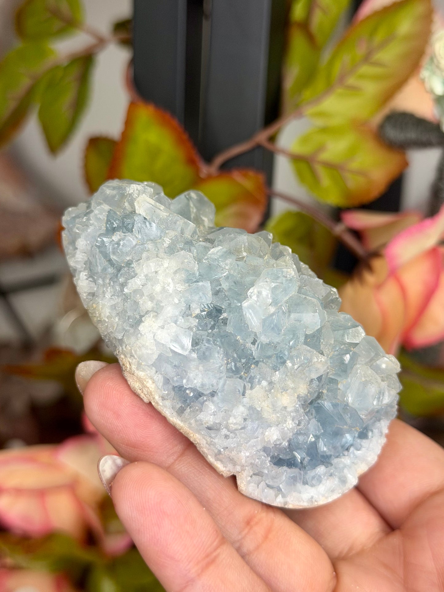 Celestite Cluster | 305g