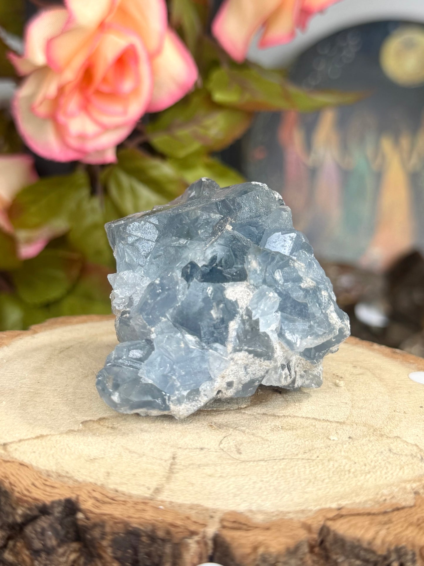 Celestite Cluster | 189g