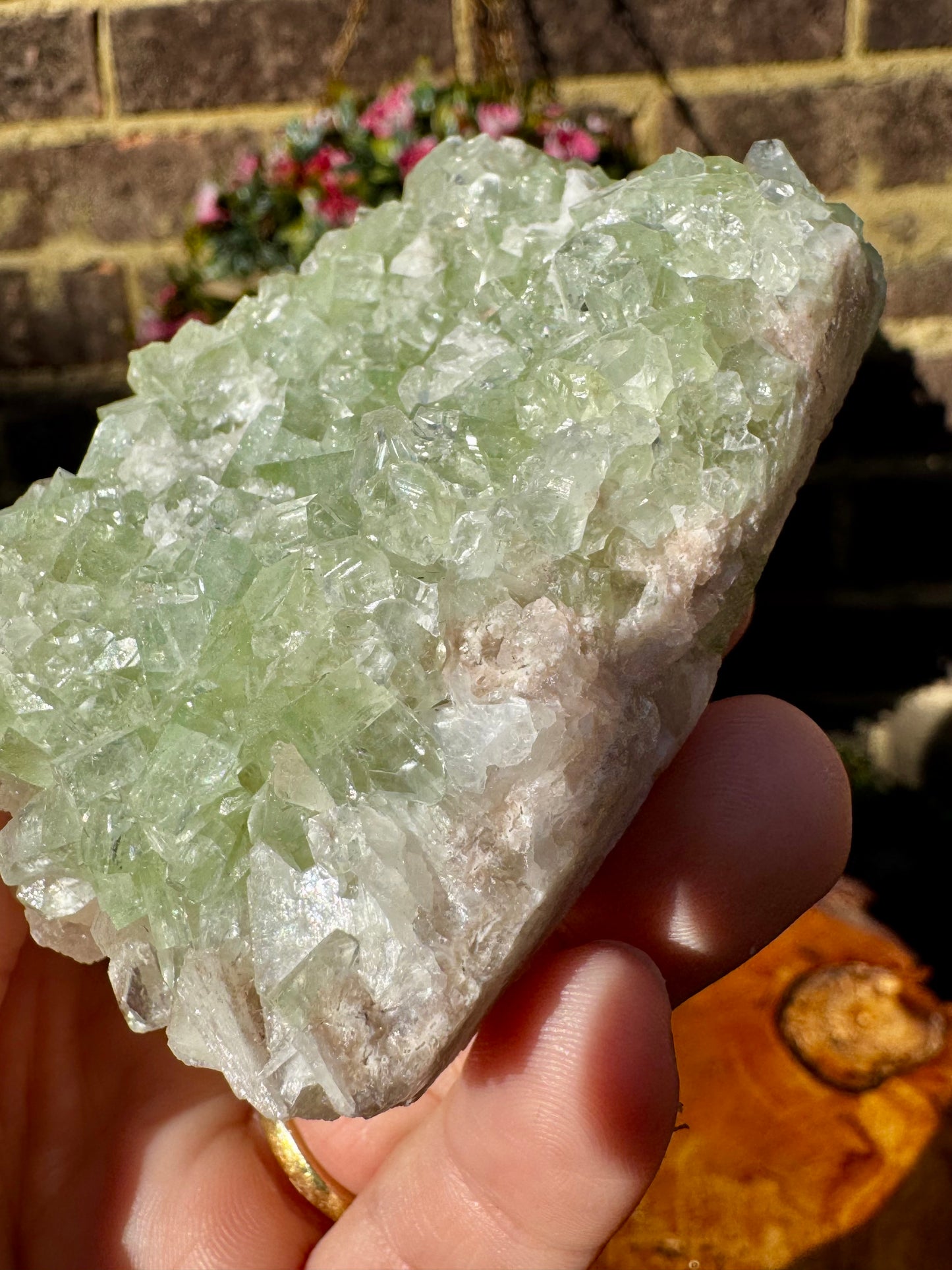 Green Apophyllite Cluster | 155g