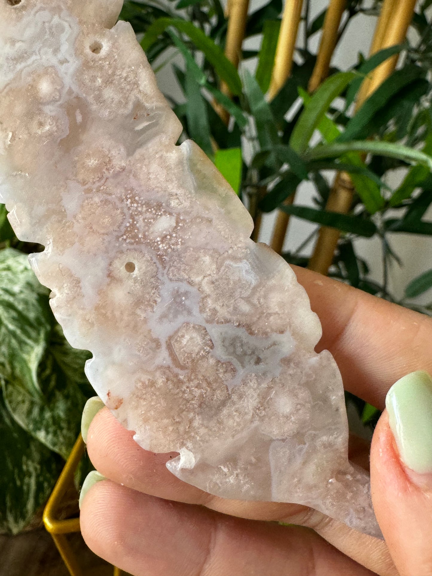 Flower Agate Feather | 54g