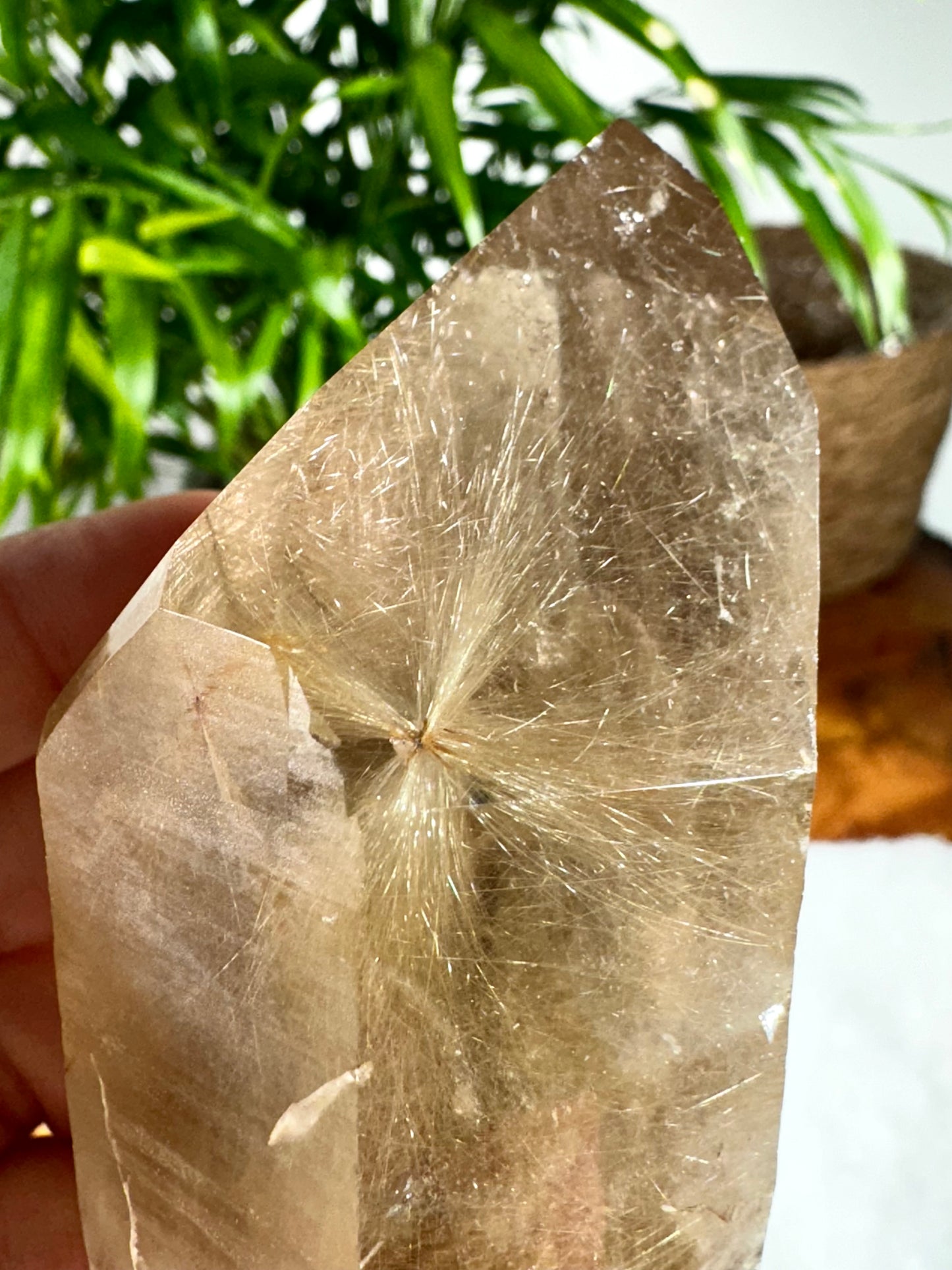 Natural Golden Rutile Point | 185g