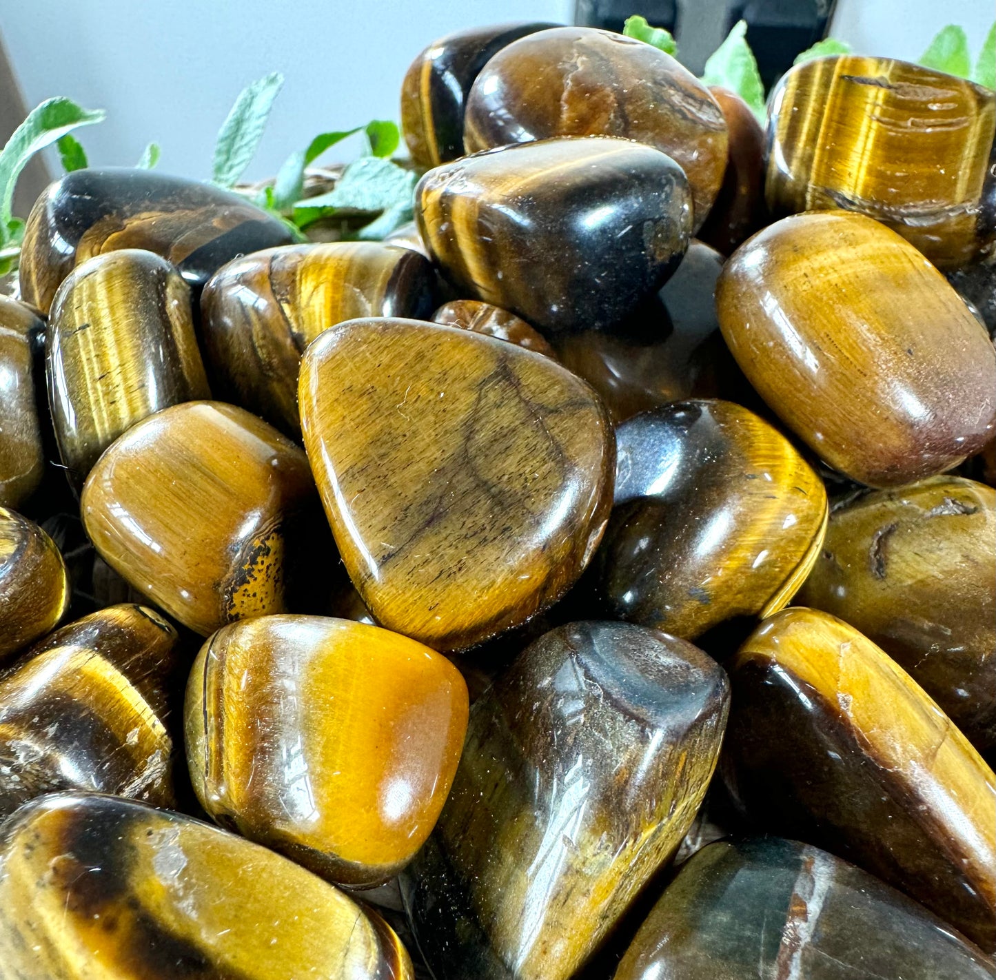 Tiger's eye Tumbles | Small / Medium sizes - Intuitively Chosen