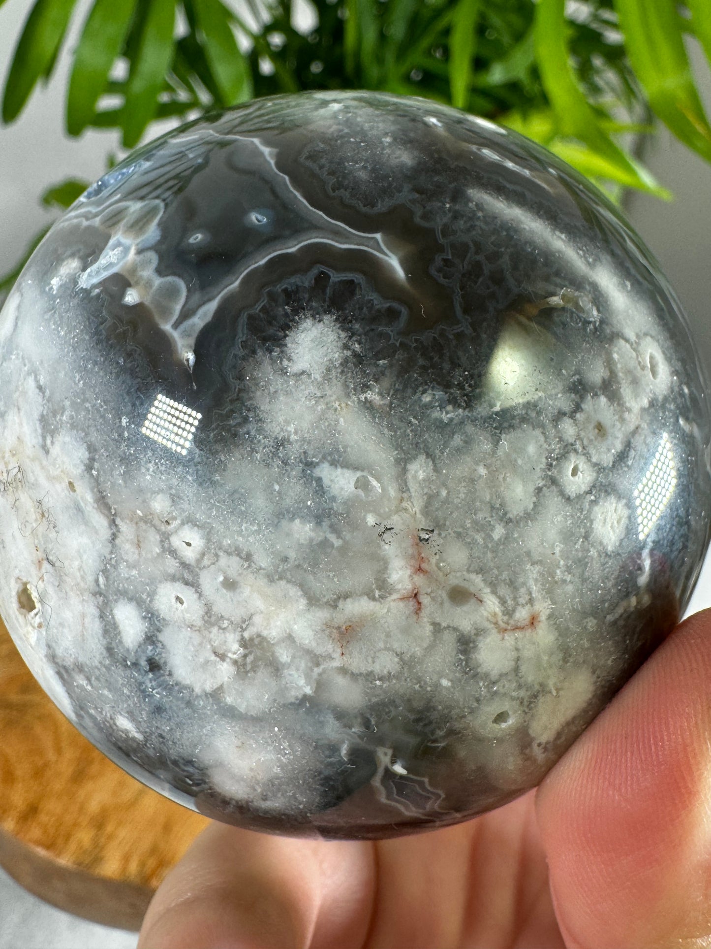 Black Agate Sphere | 440g