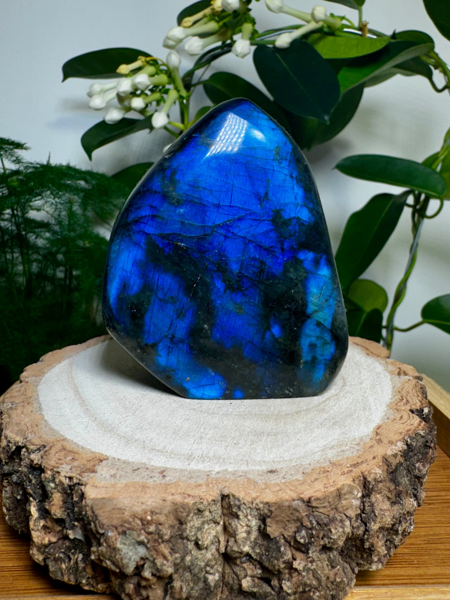 Labradorite Free Form | 276g