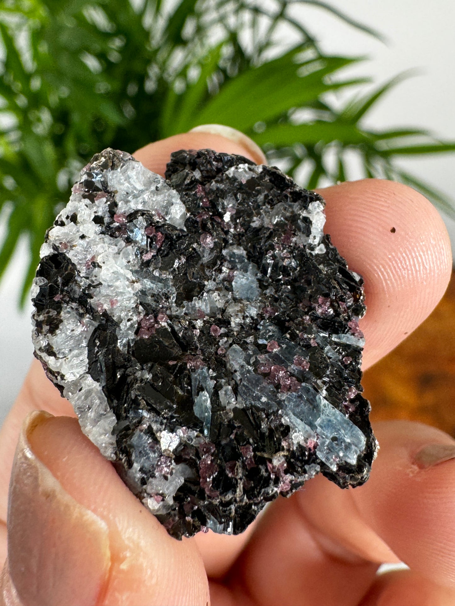 Unusual Kyanite & Garnet Specimen on Gneiss Biotite | 9g