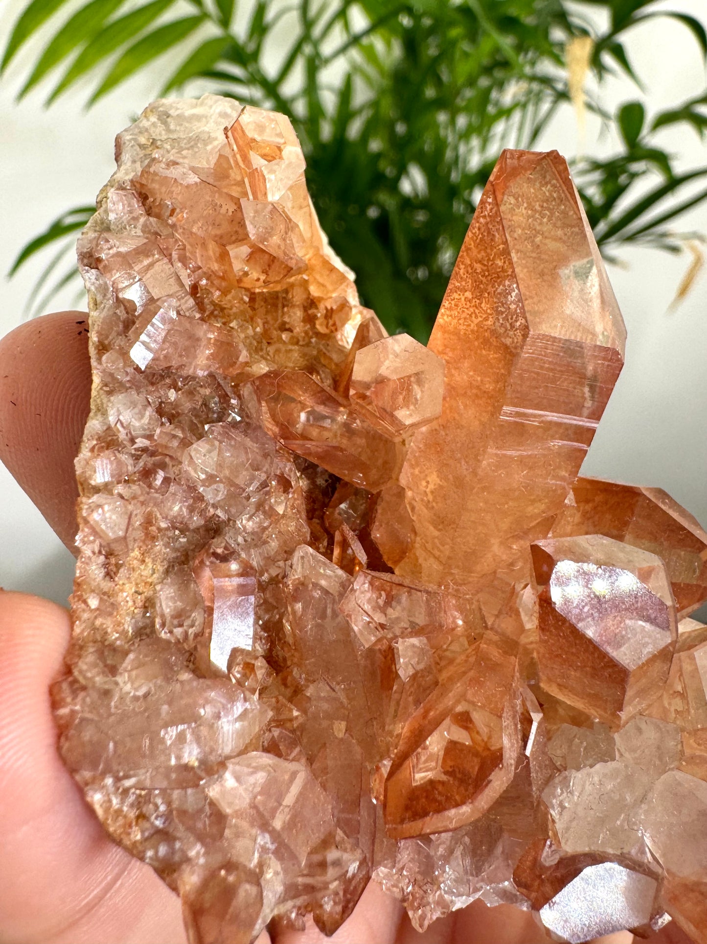 Tangerine Quartz Cluster | 96g