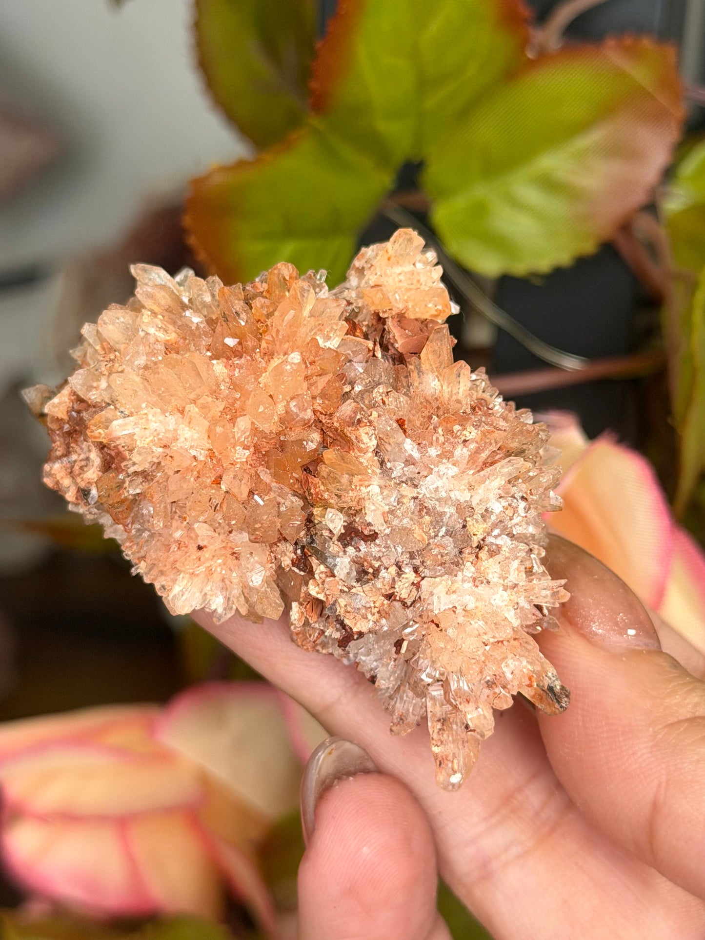 Creedite Cluster | 53g