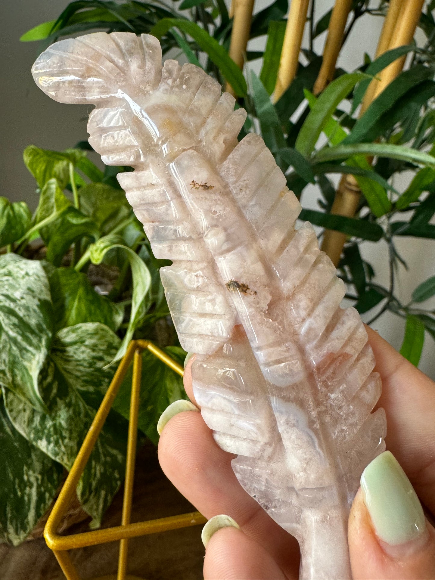 Flower Agate Feather | 54g