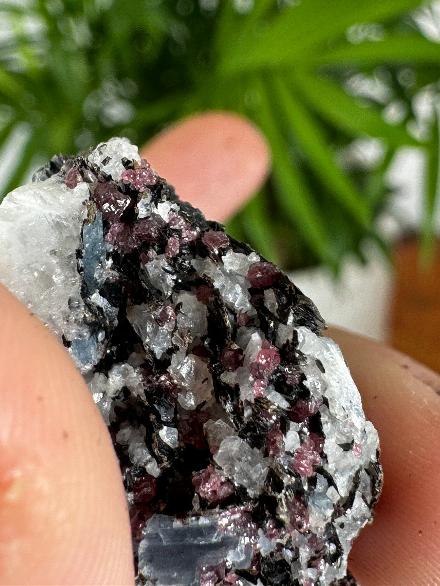 Unusual Kyanite & Garnet Specimen on Gneiss Biotite | 13g