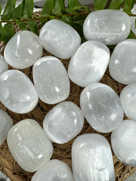 High Quality Selenite Tumbles | Medium / Large Sizes - Intuitively Chosen