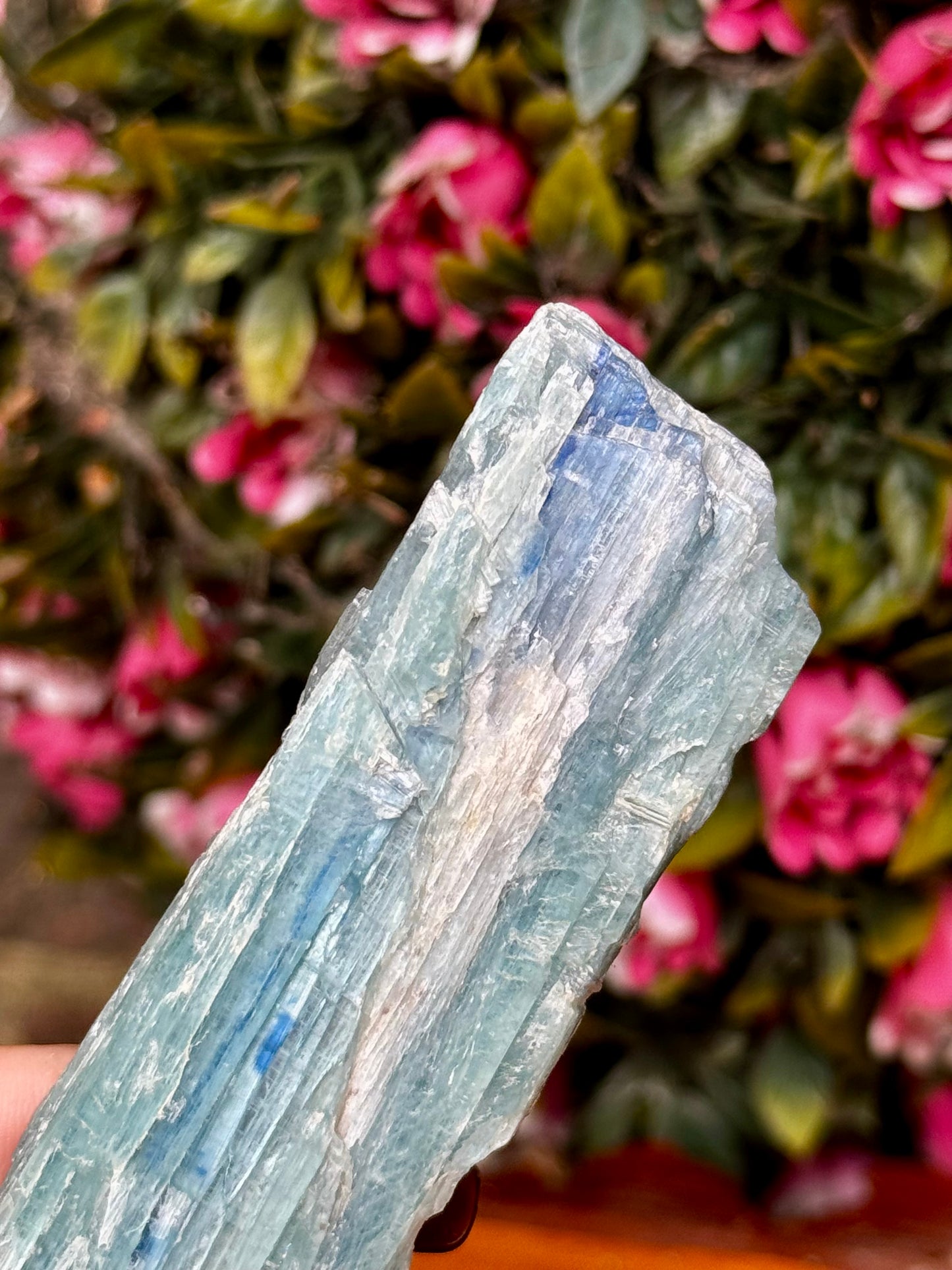 Blue Green Kyanite from Zambia | 56g