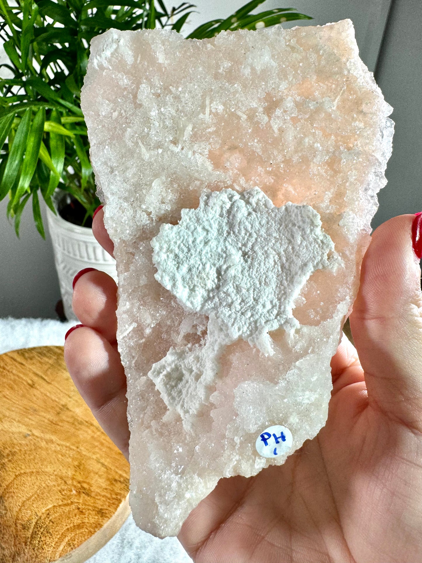 Pink Apophyllite Cluster | 217g