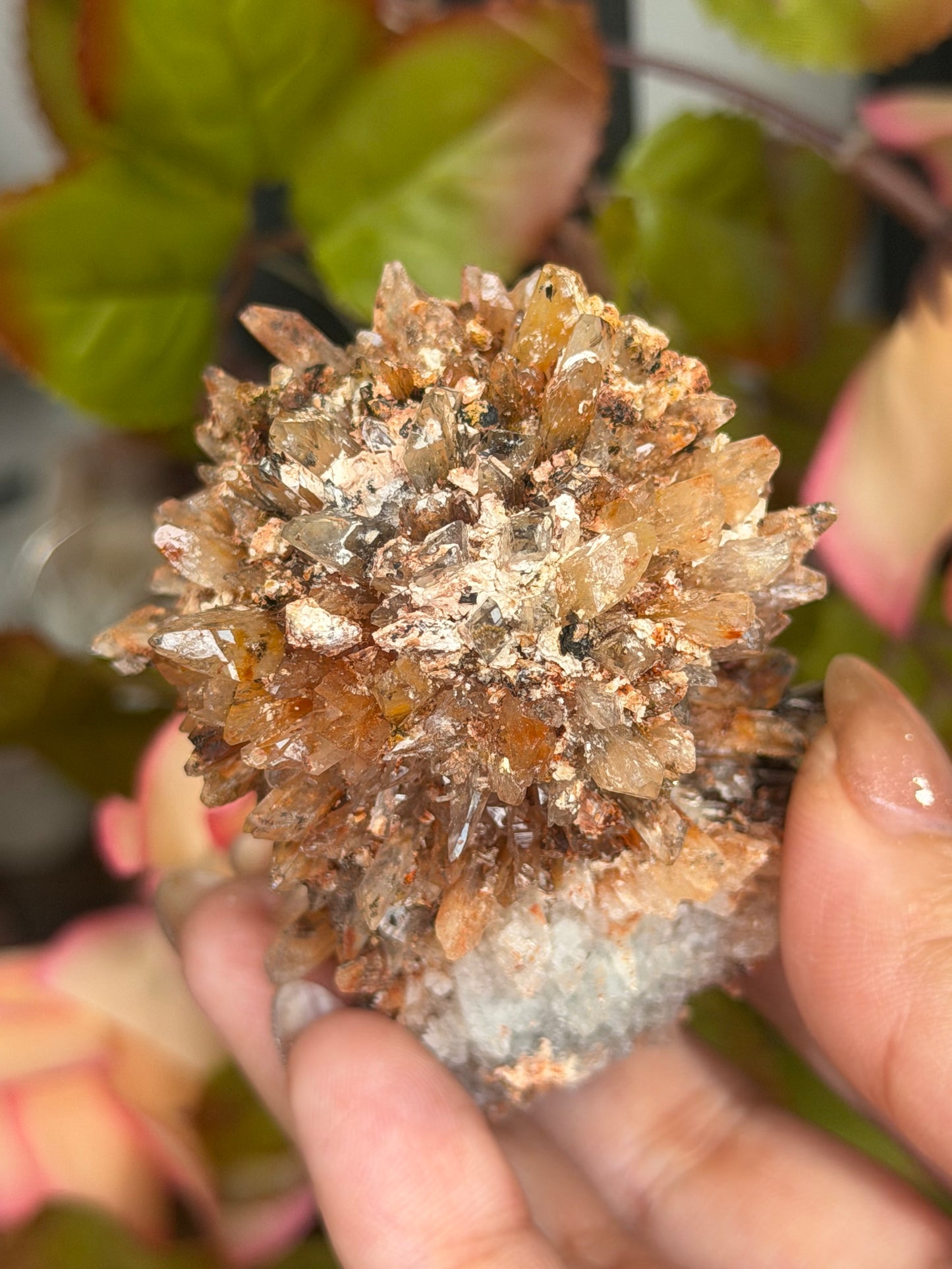 Creedite Cluster | 120g