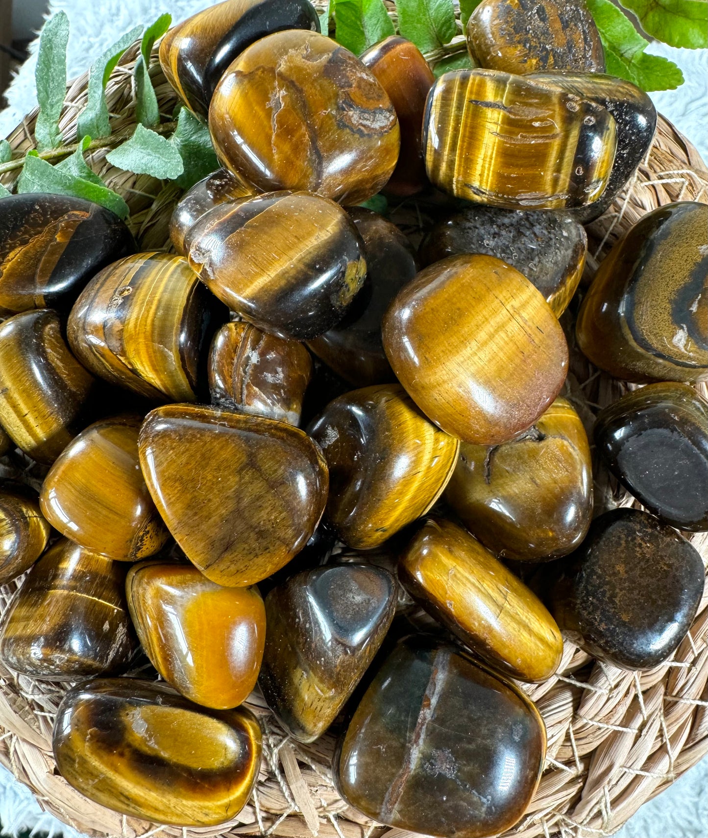 Tiger's eye Tumbles | Small / Medium sizes - Intuitively Chosen