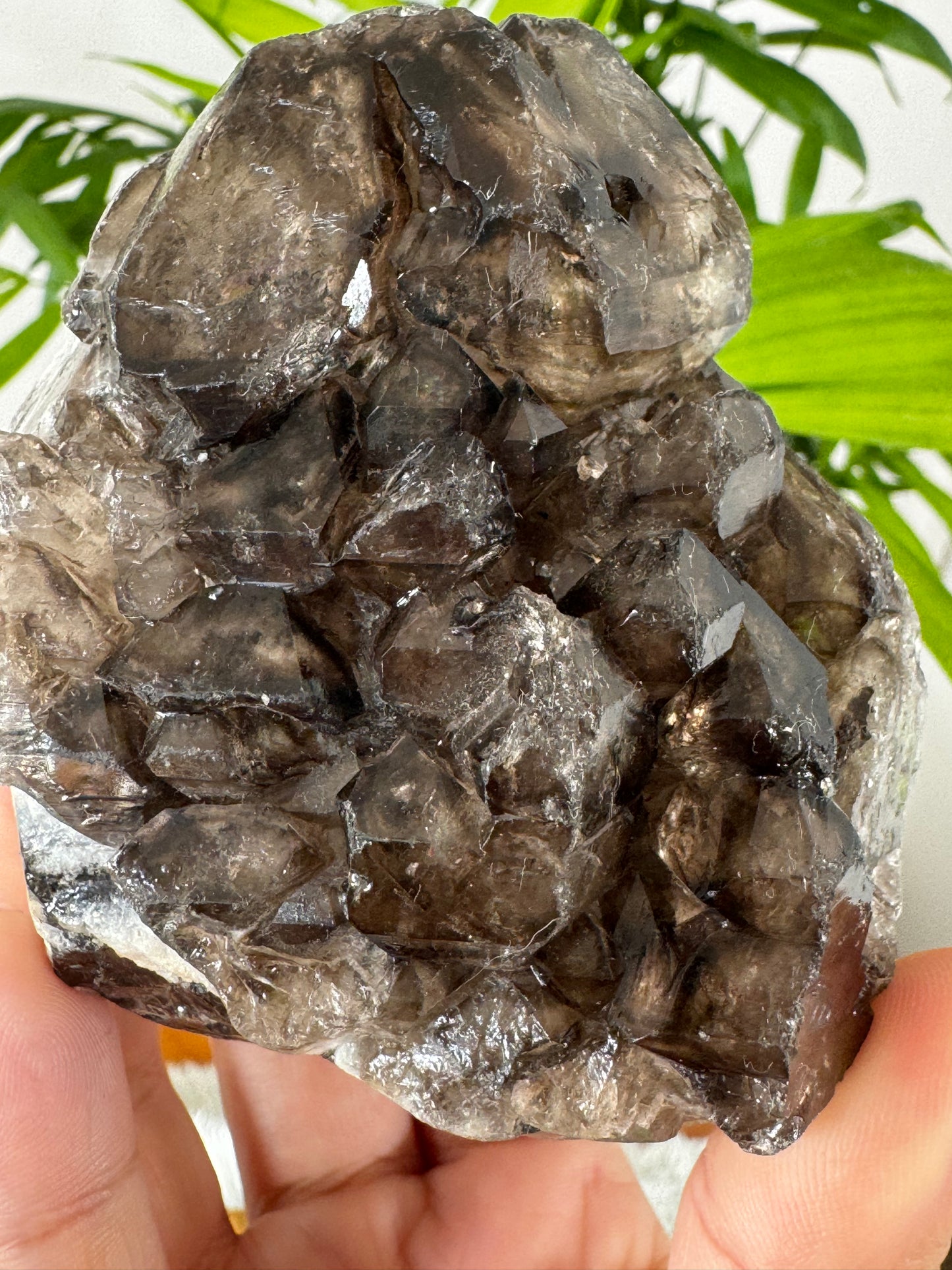 Elestial Smokey Quartz | 353g