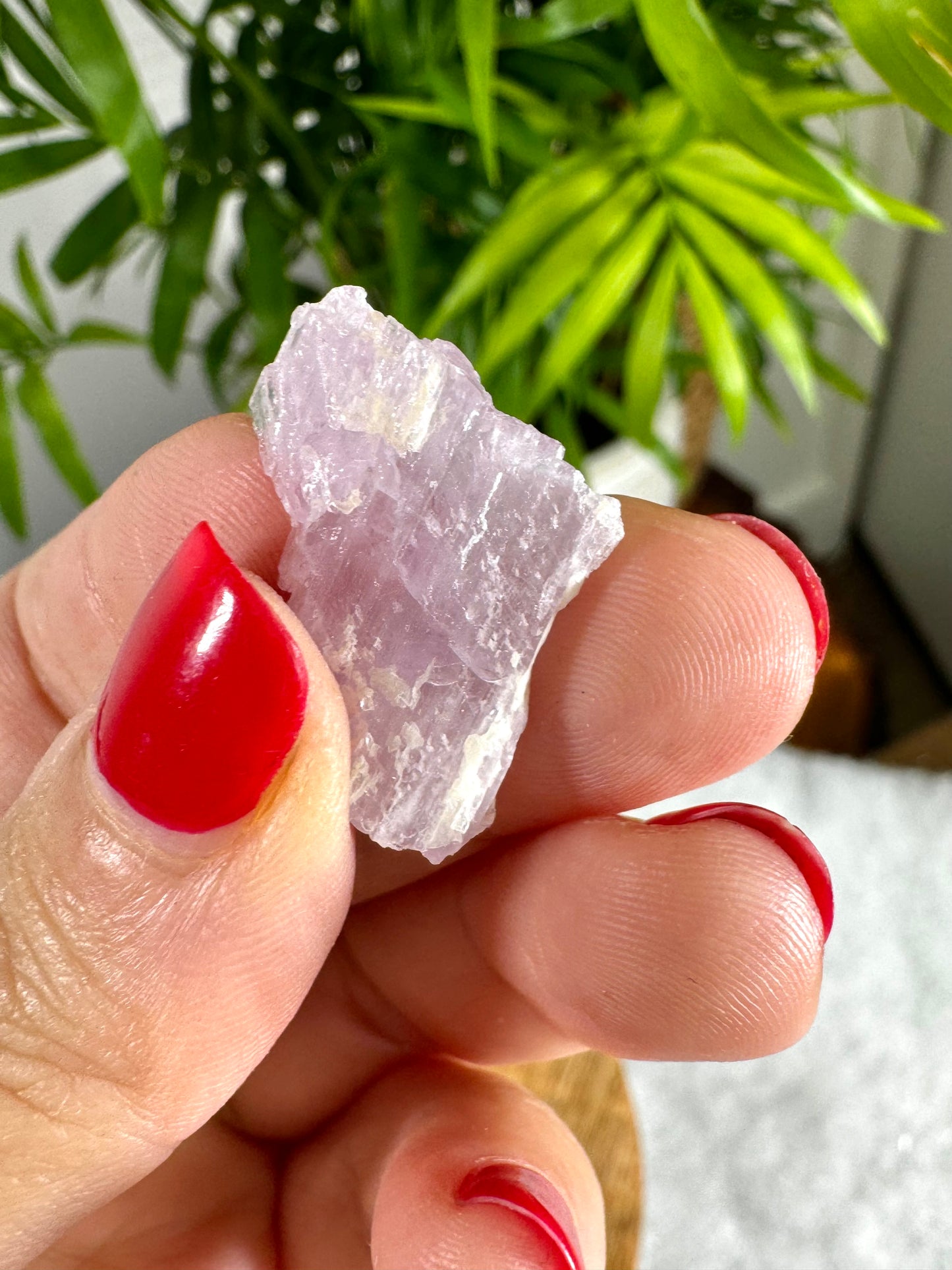 Tiny Natural Kunzite Specimen | 3g