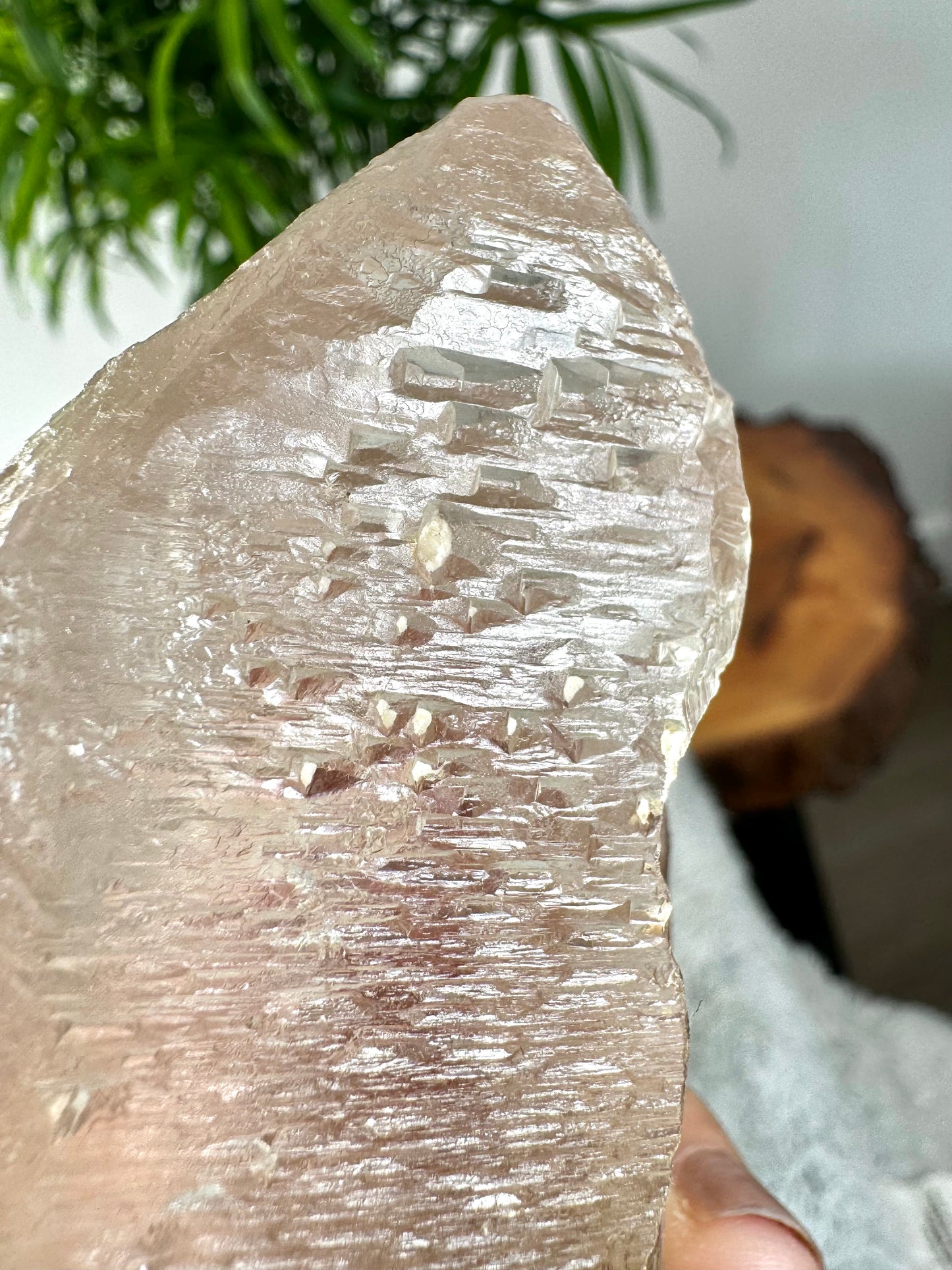 Star Seed - Trine Master Healer & Record Keeper Natural Clear Quartz Point | 271g | Unusual (Copy)