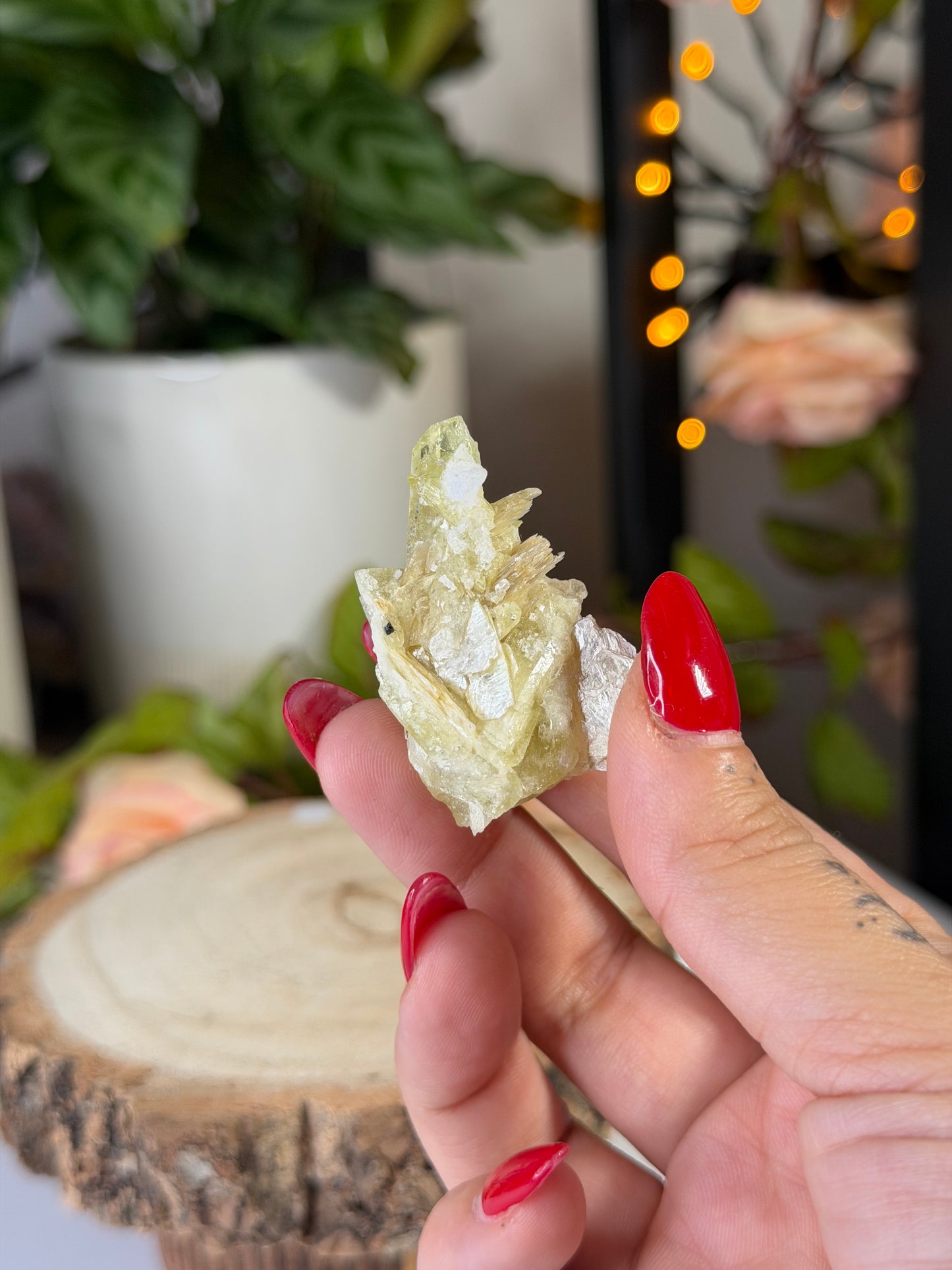 Collectors Item - Mini Brazilianite | 18g