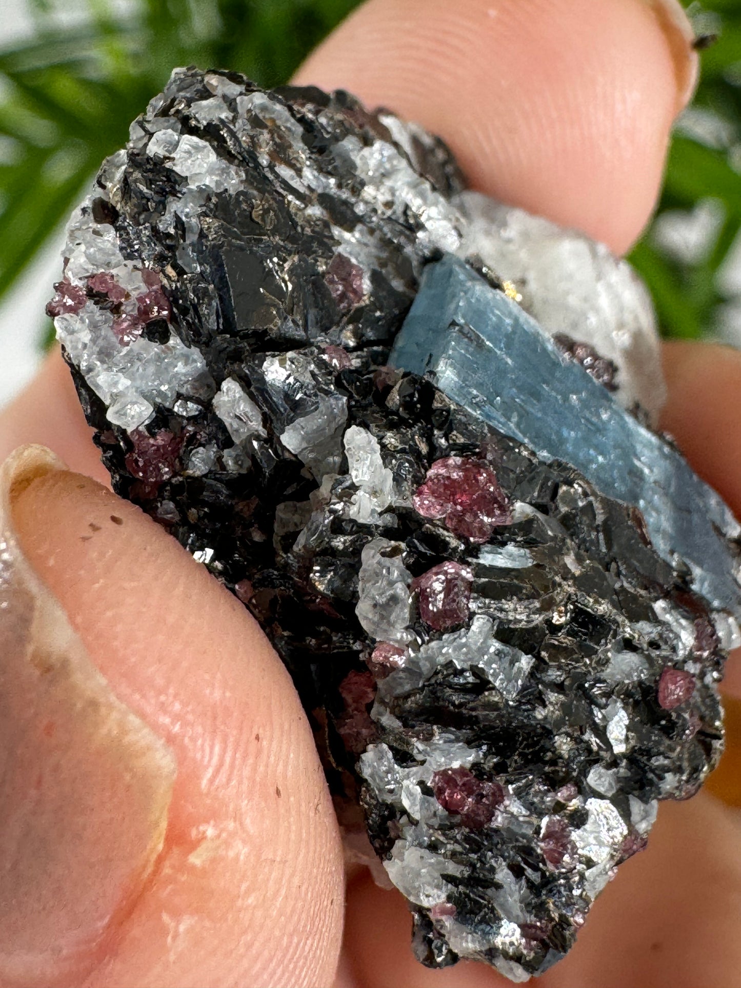 Unusual Kyanite & Garnet Specimen on Gneiss Biotite | 13g