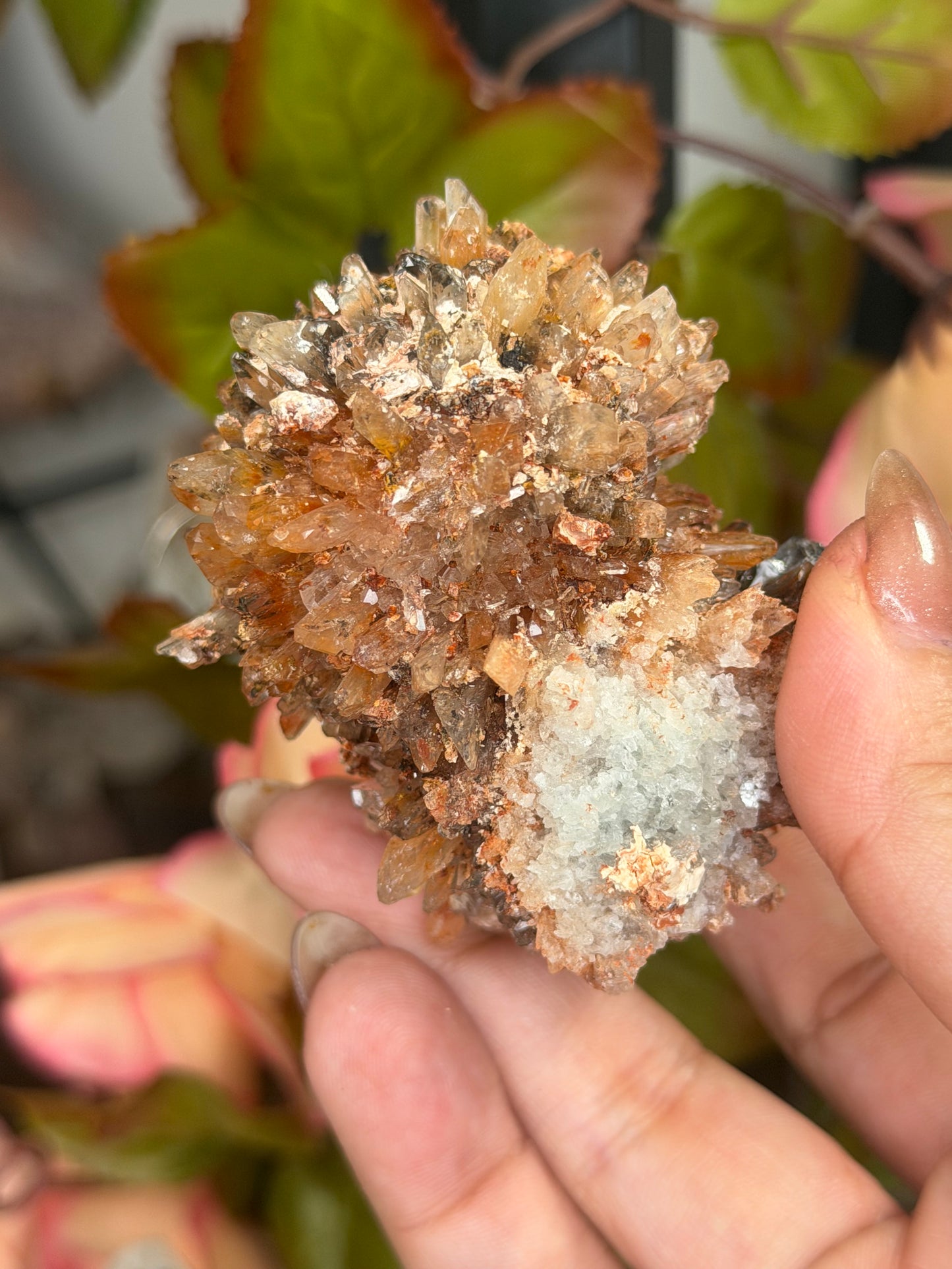 Creedite Cluster | 120g