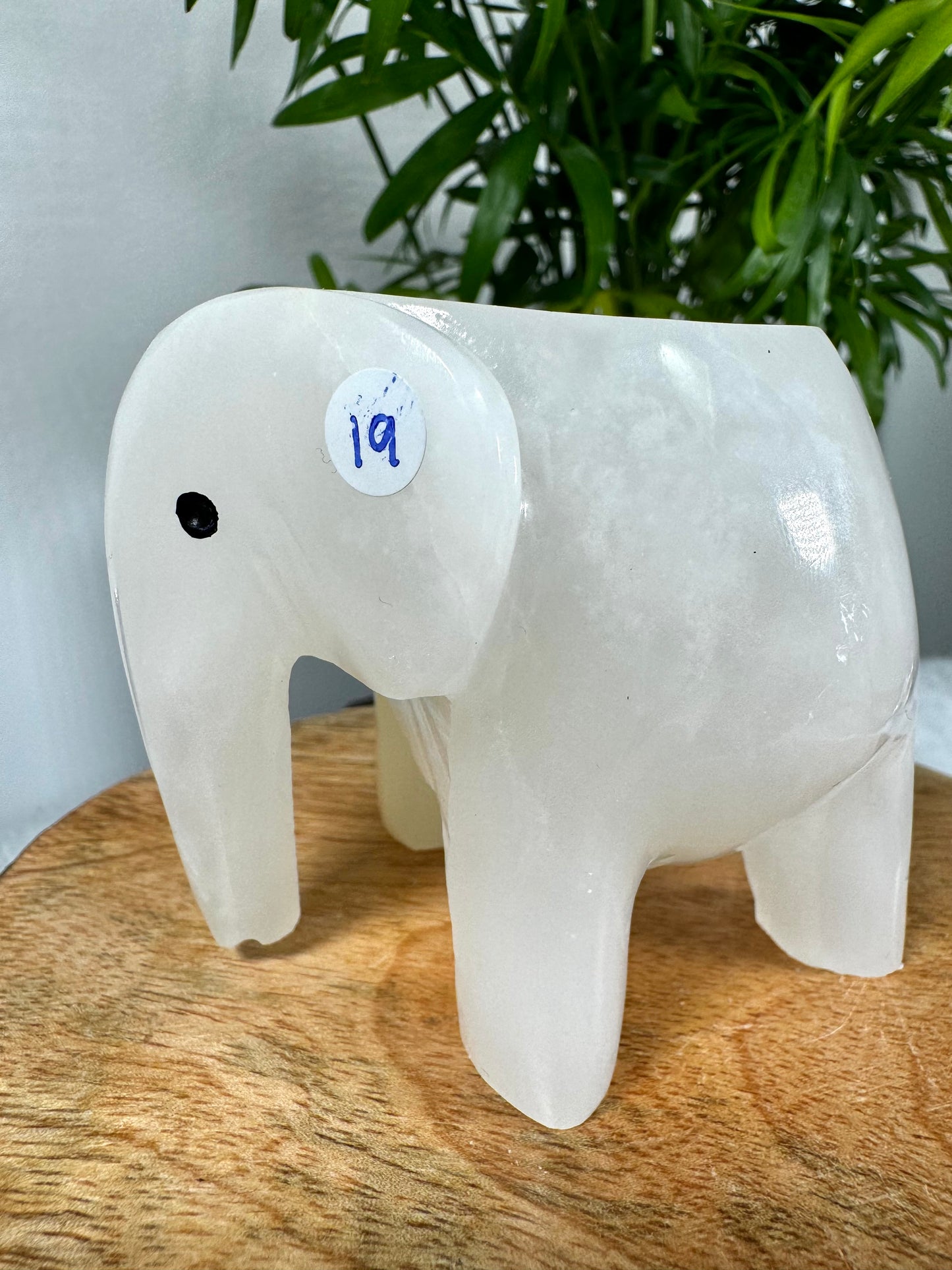 Onyx Elephant Candle Holder |364g