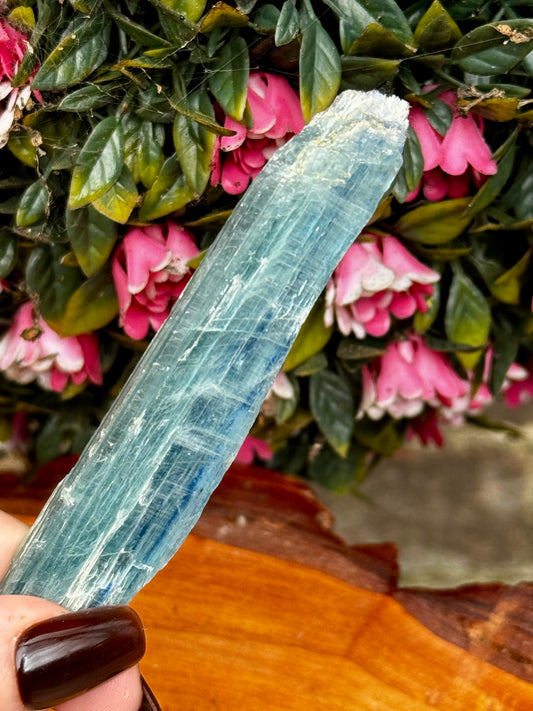 Blue Green Kyanite from Zambia | 24g