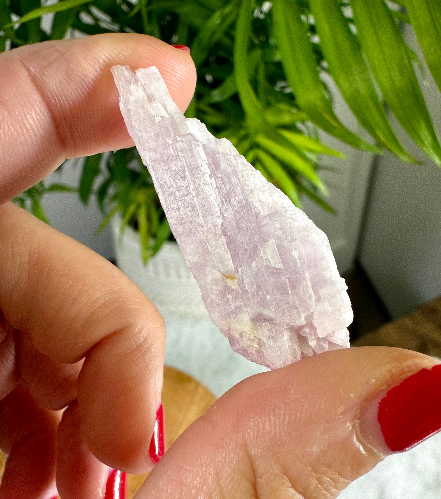 Natural Kunzite Specimen | 10g