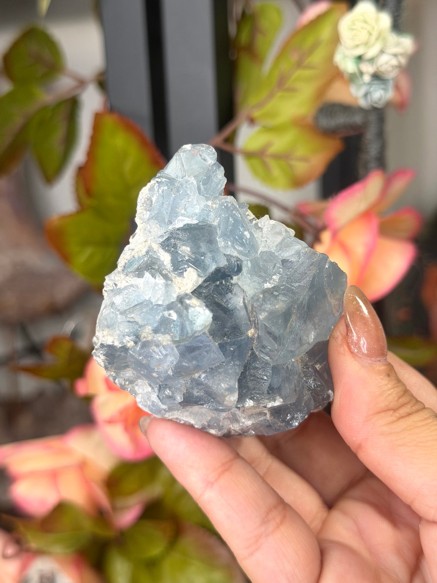 Celestite Cluster | 189g