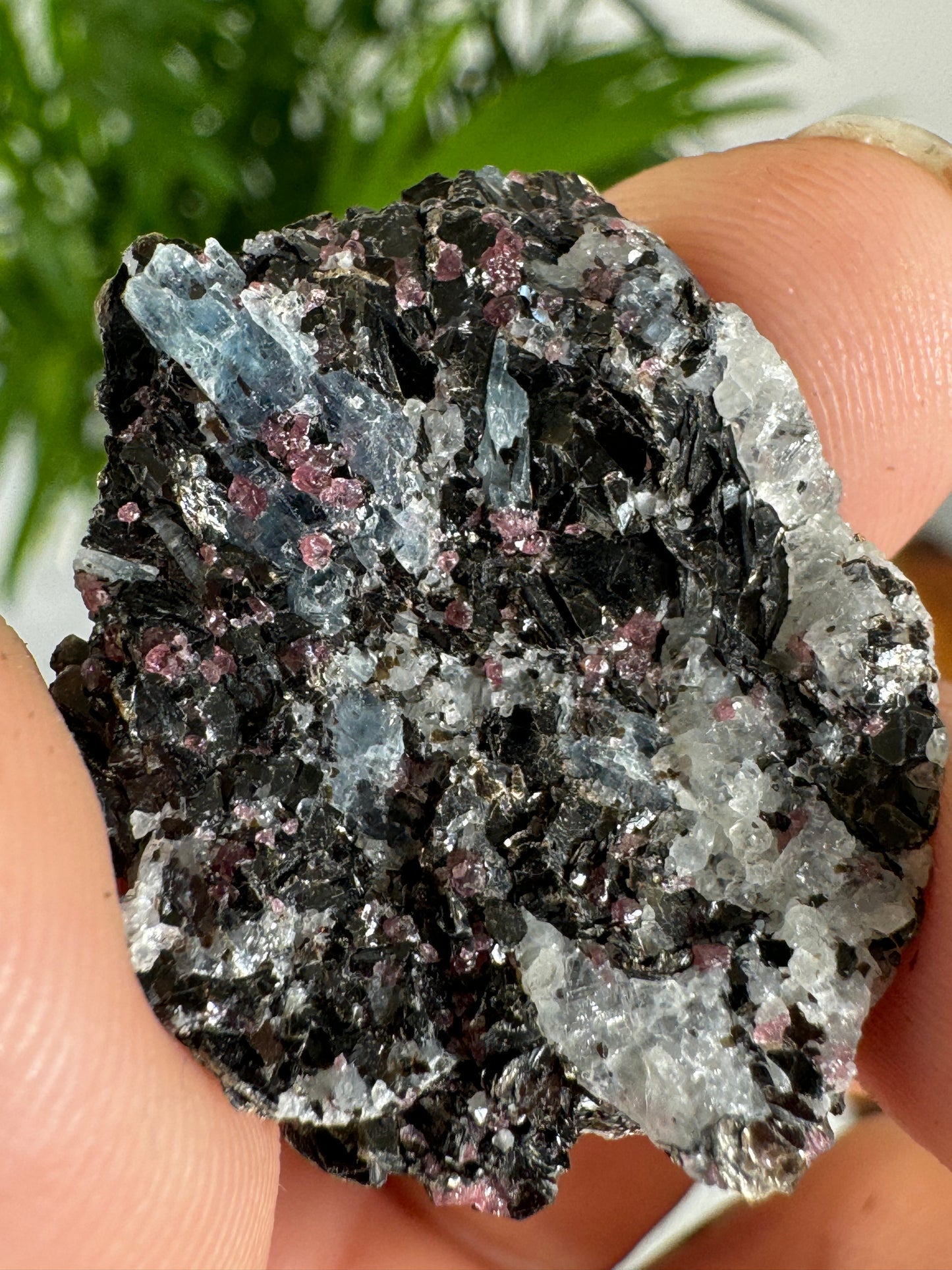 Unusual Kyanite & Garnet Specimen on Gneiss Biotite | 9g