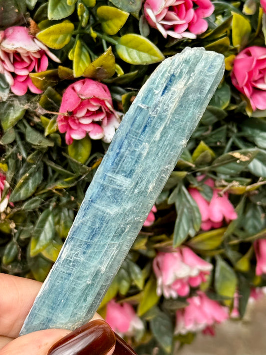 Blue Green Kyanite from Zambia | 24g