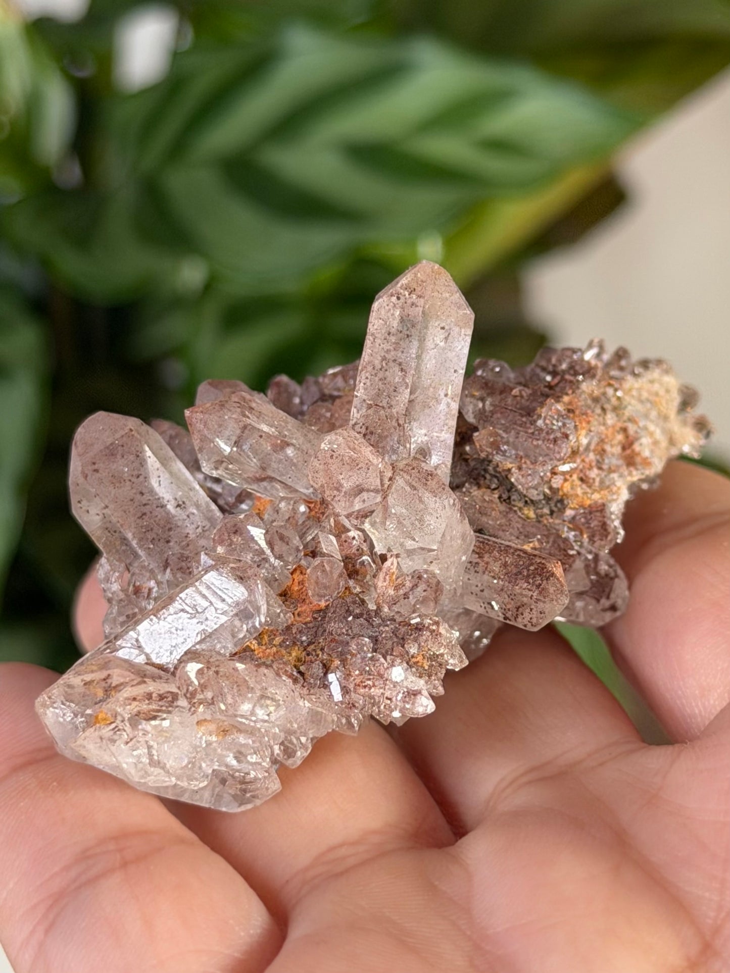 Mini 'Pink Lithium' Cluster 3 | 42g