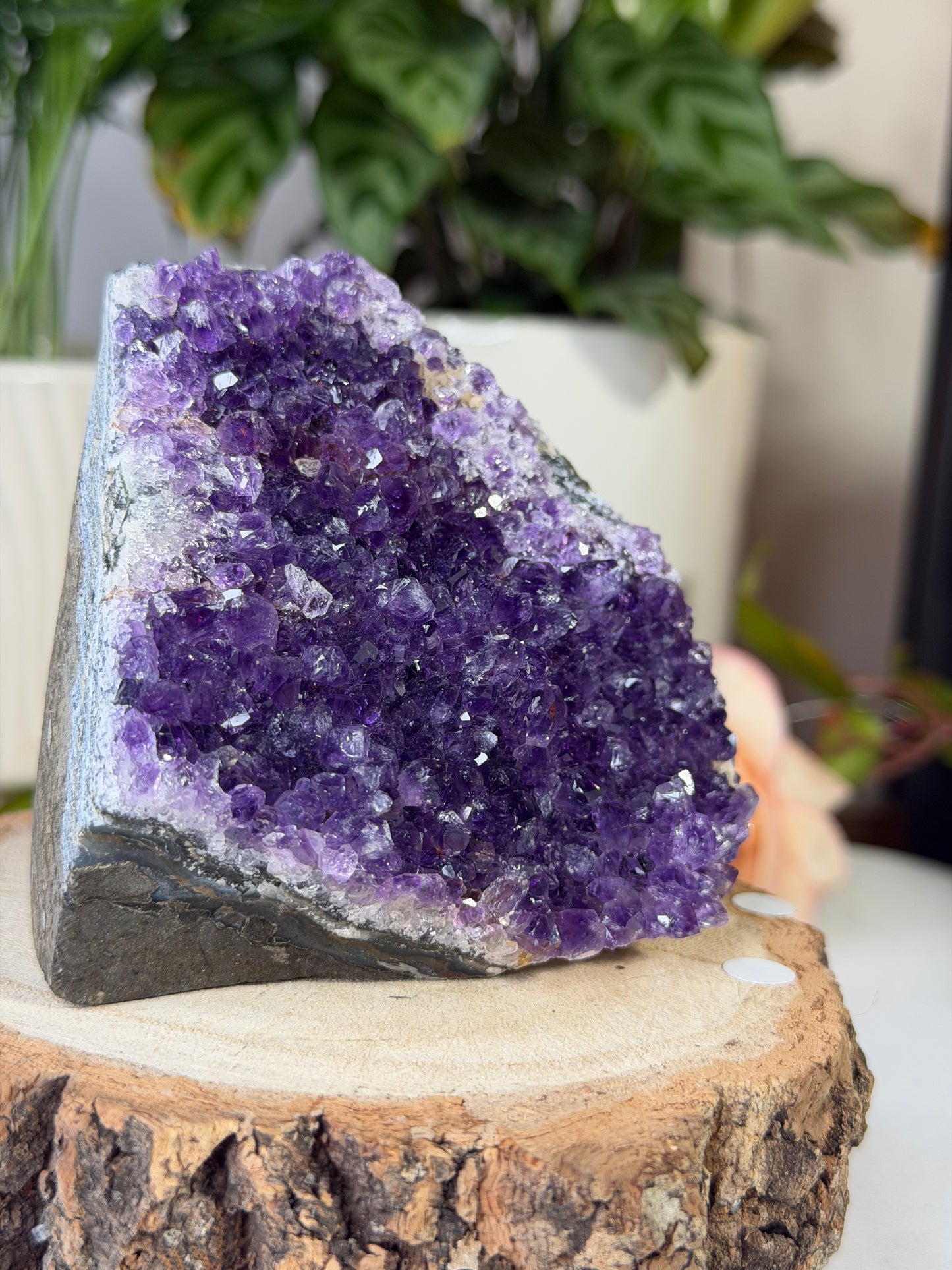 Amethyst Cut Base From Uruguay 1 | 440g