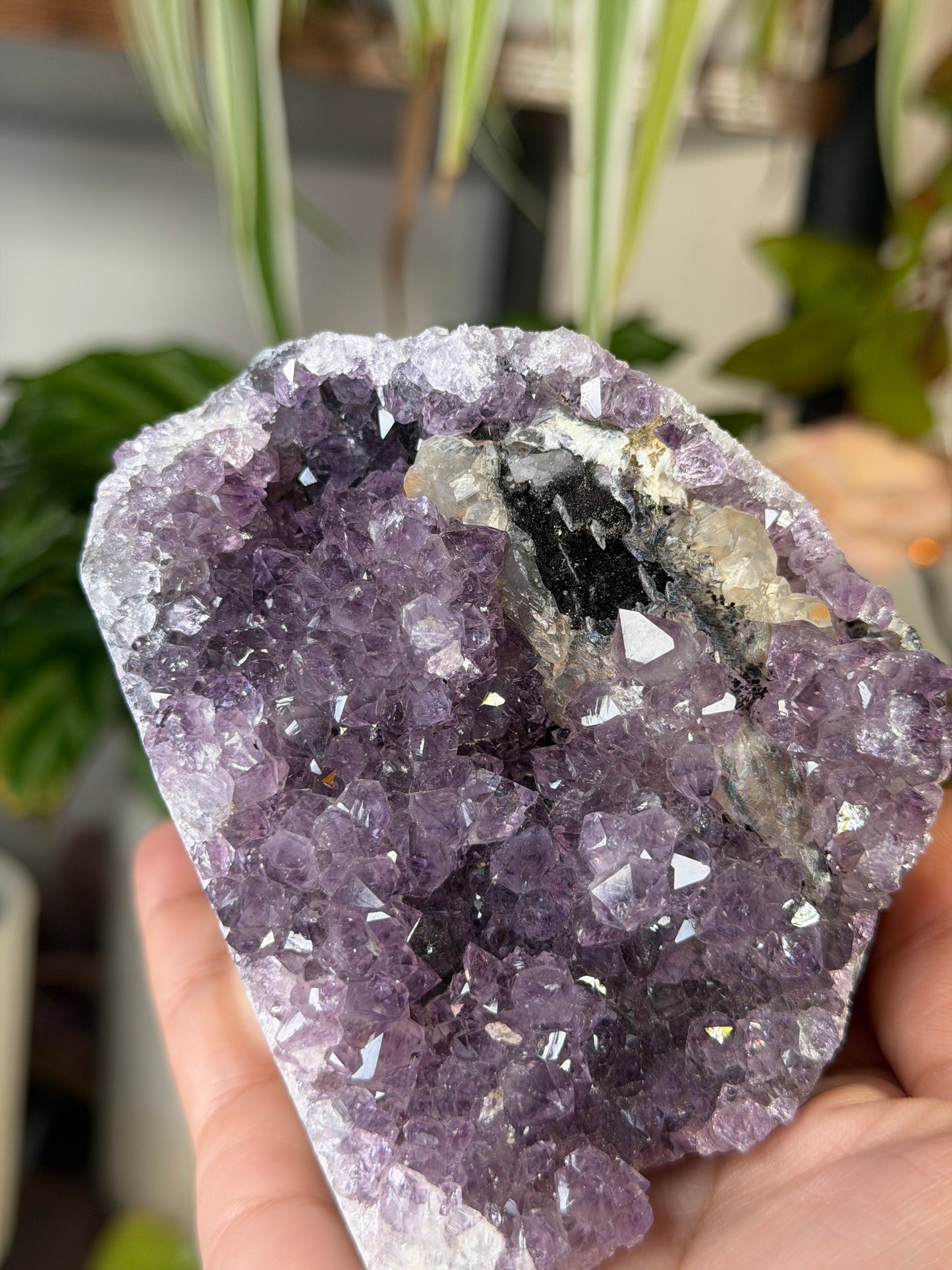 Amethyst Cut Base From Uruguay 4 | 372g
