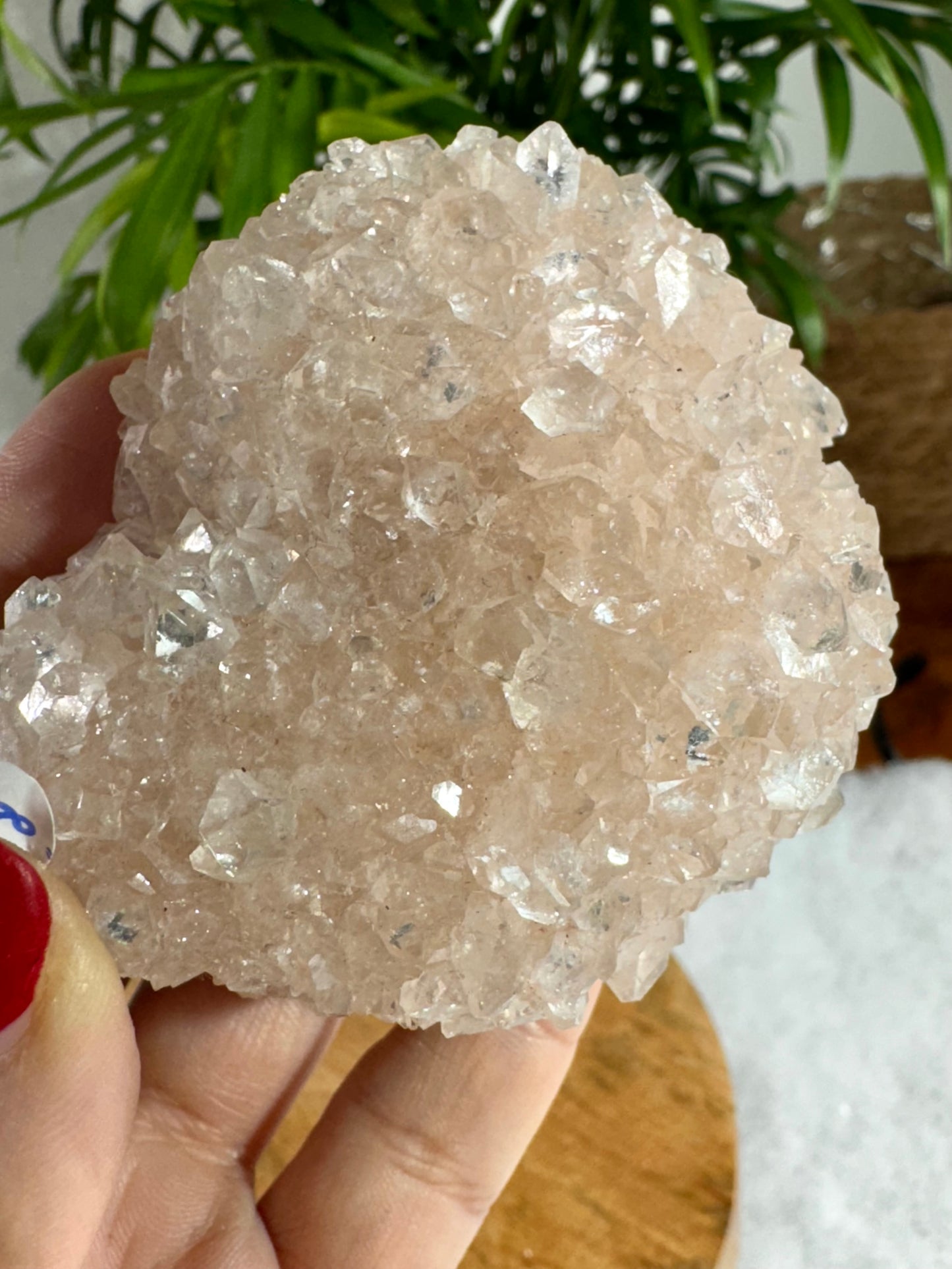 Pink Apophyllite Cluster | 100g