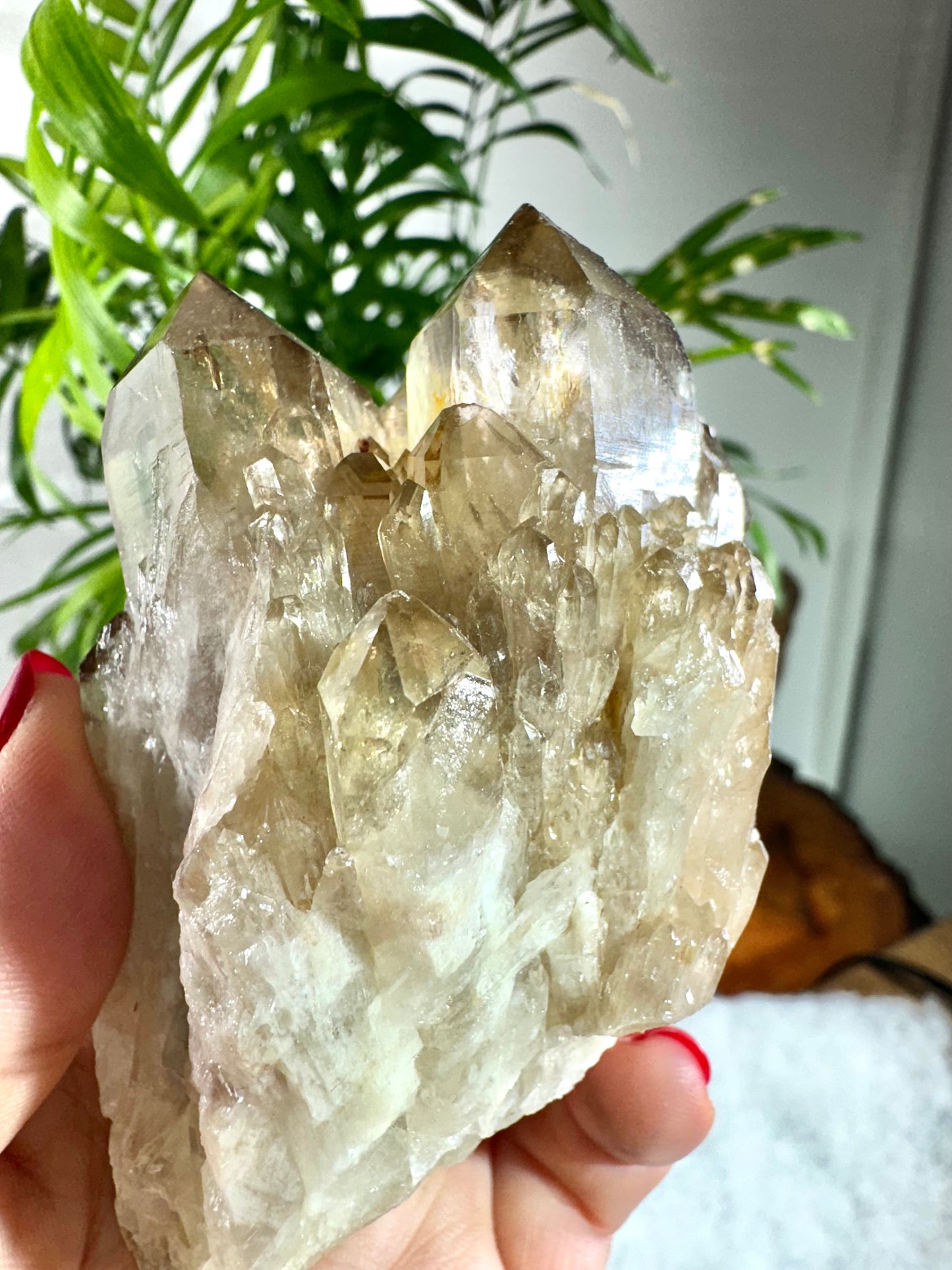 100% Natural Congo ('Kundalini) Citrine | 209g