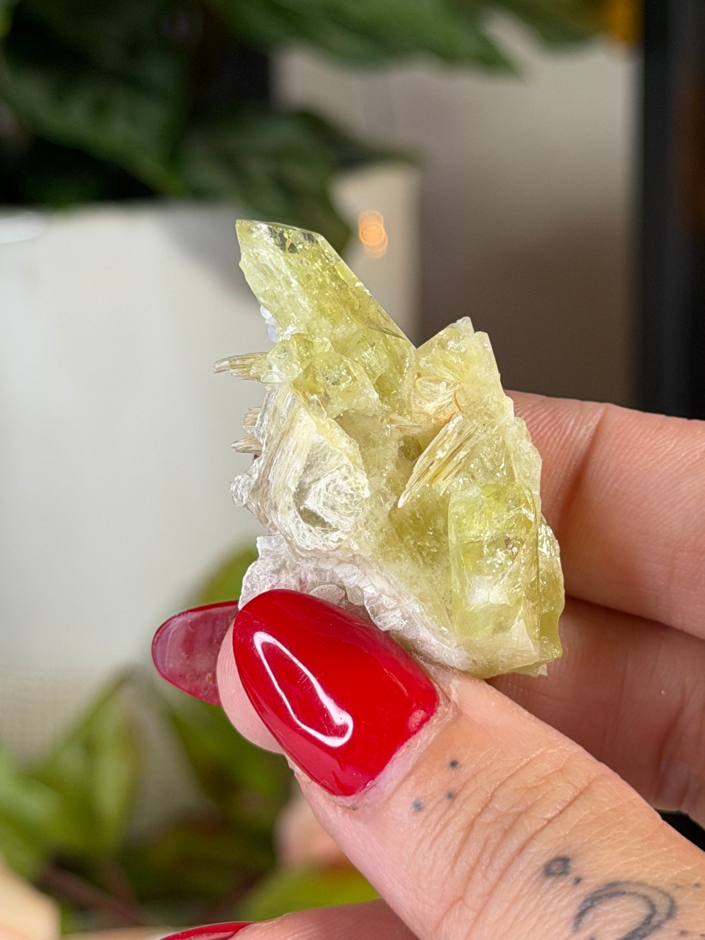 Collectors Item - Mini Brazilianite | 18g